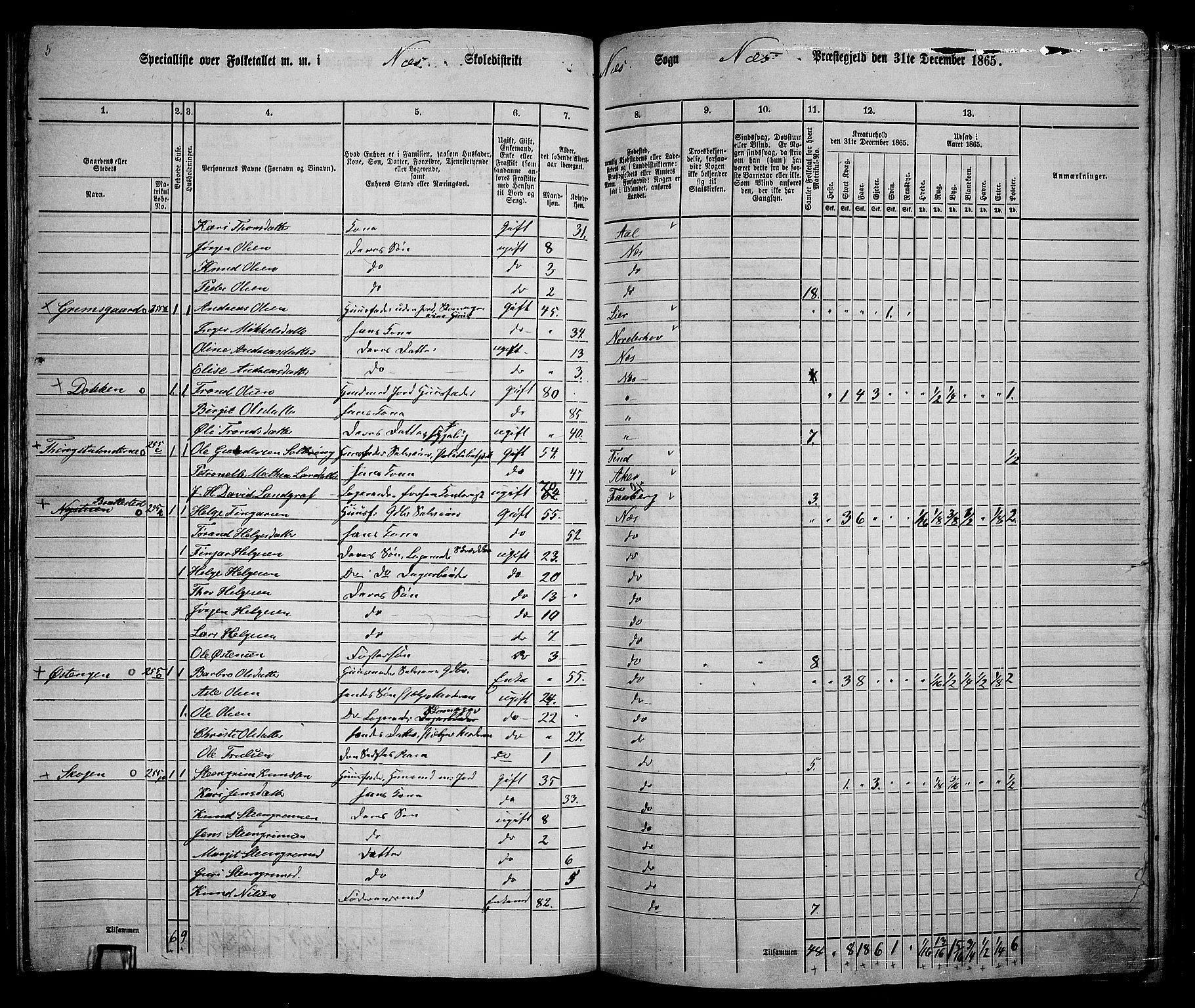 RA, 1865 census for Nes, 1865, p. 153