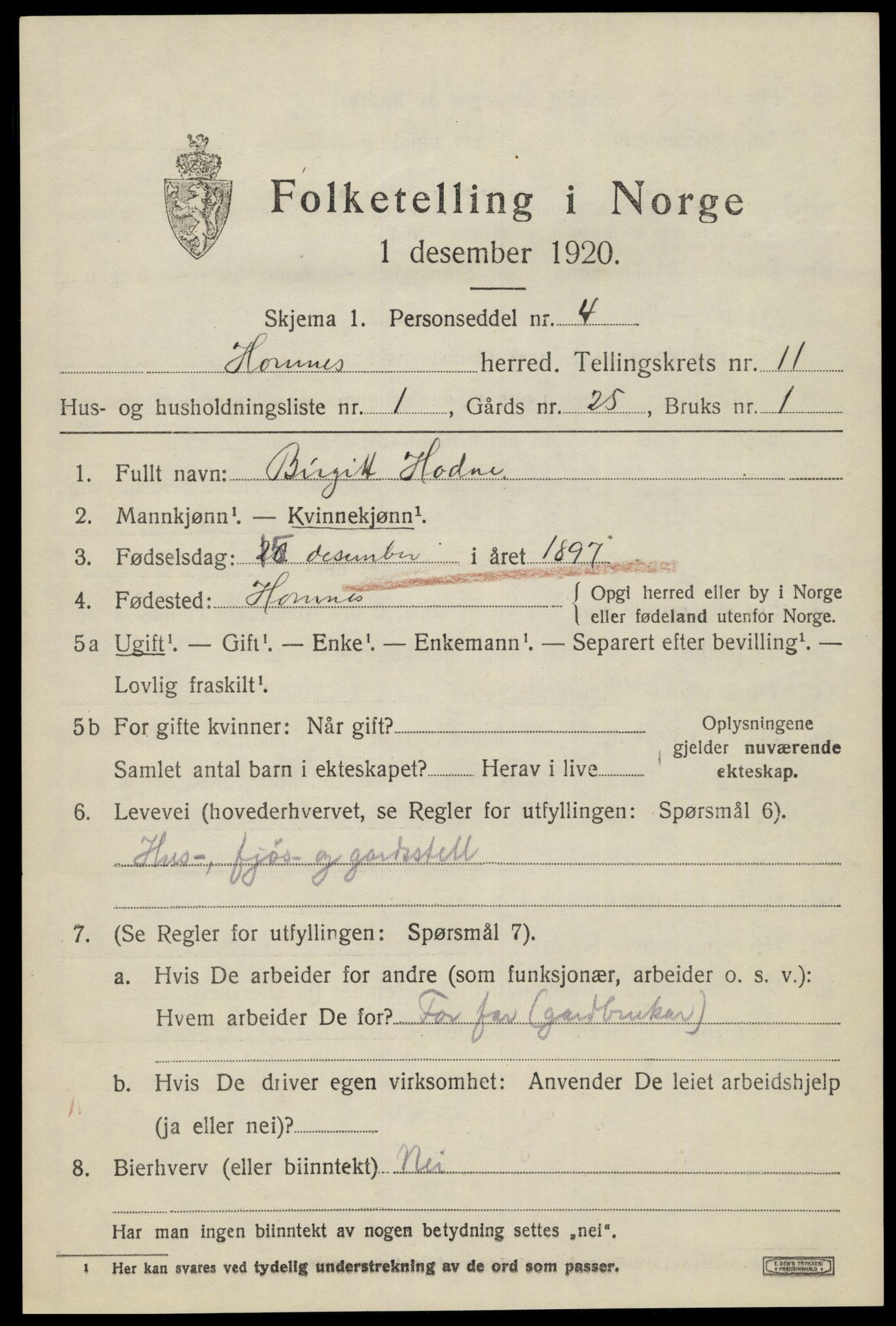 SAK, 1920 census for Hornnes, 1920, p. 2641