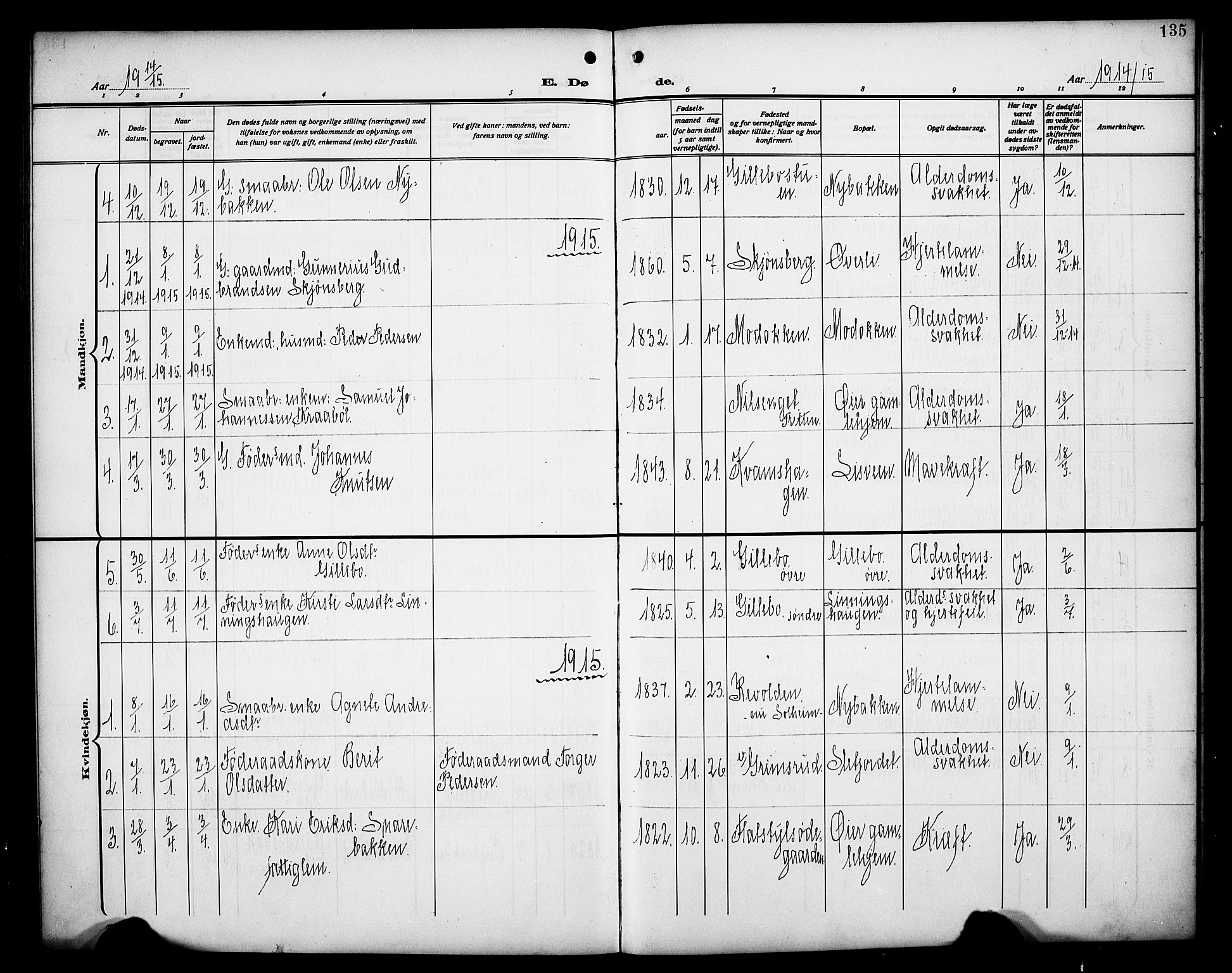 Øyer prestekontor, AV/SAH-PREST-084/H/Ha/Hab/L0007: Parish register (copy) no. 7, 1913-1928, p. 135