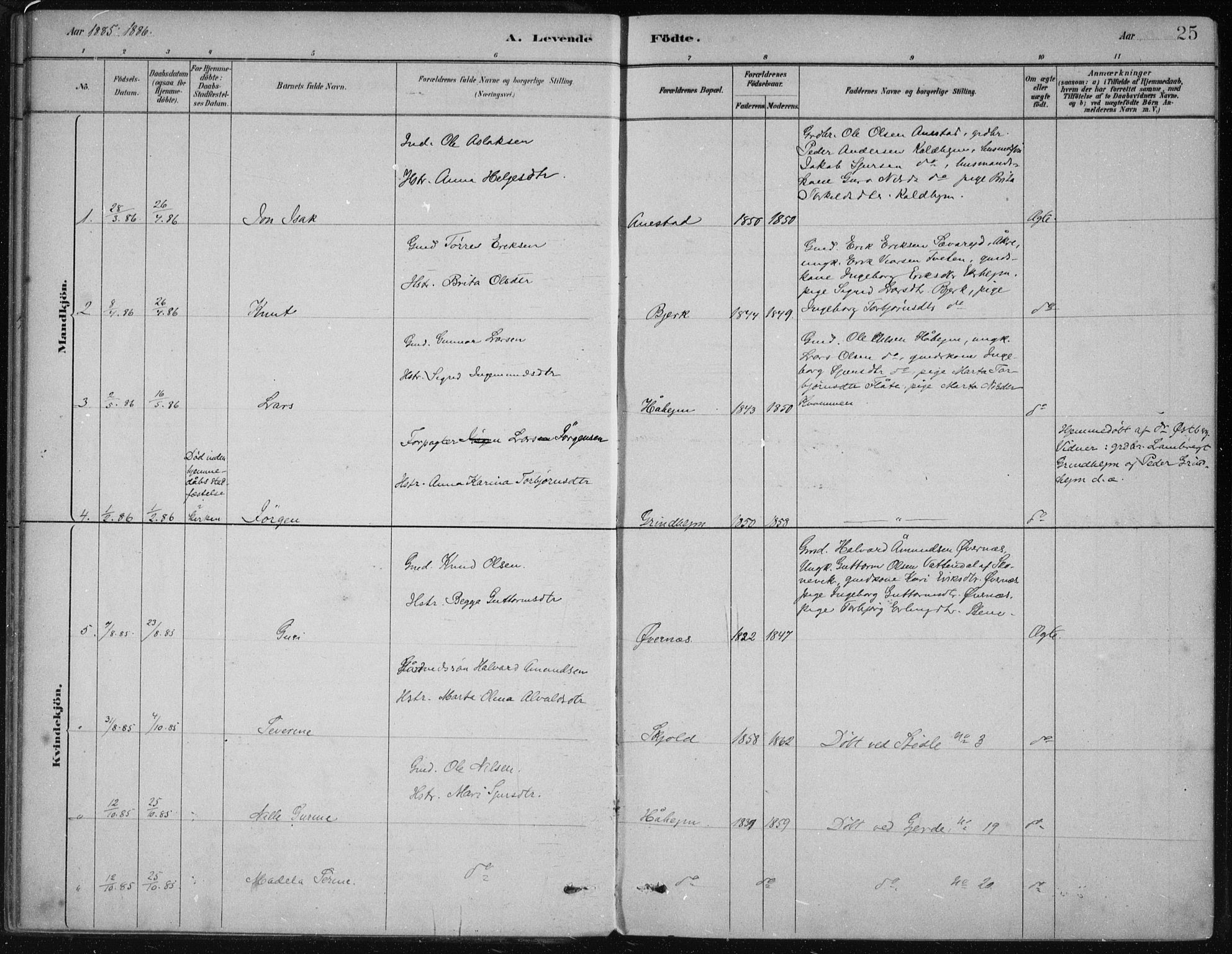 Etne sokneprestembete, SAB/A-75001/H/Haa: Parish register (official) no. D  1, 1879-1919, p. 25