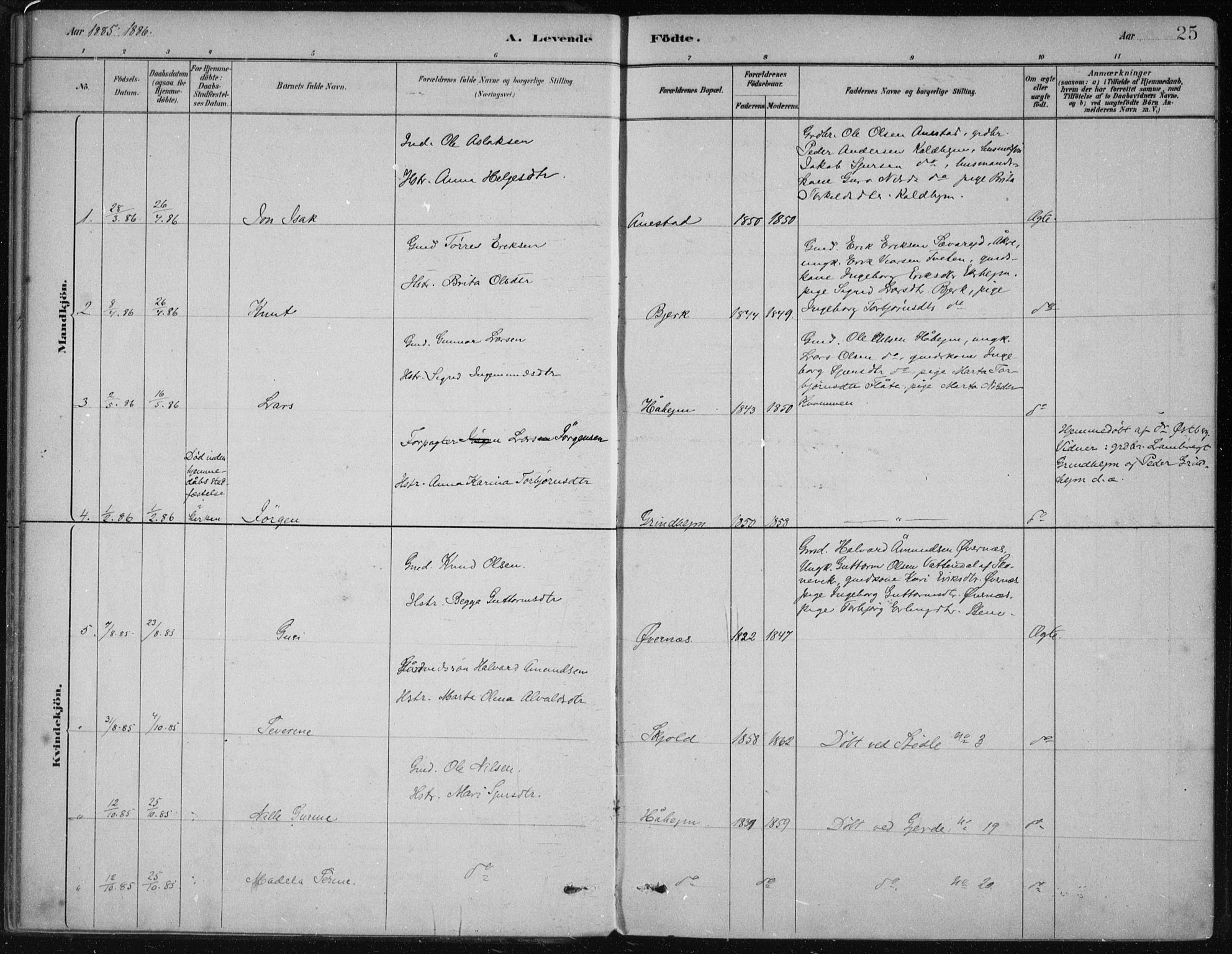 Etne sokneprestembete, AV/SAB-A-75001/H/Haa: Parish register (official) no. D  1, 1879-1919, p. 25