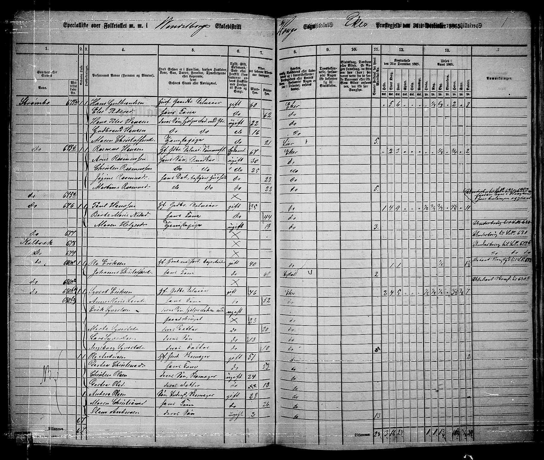 RA, 1865 census for Eiker, 1865, p. 162