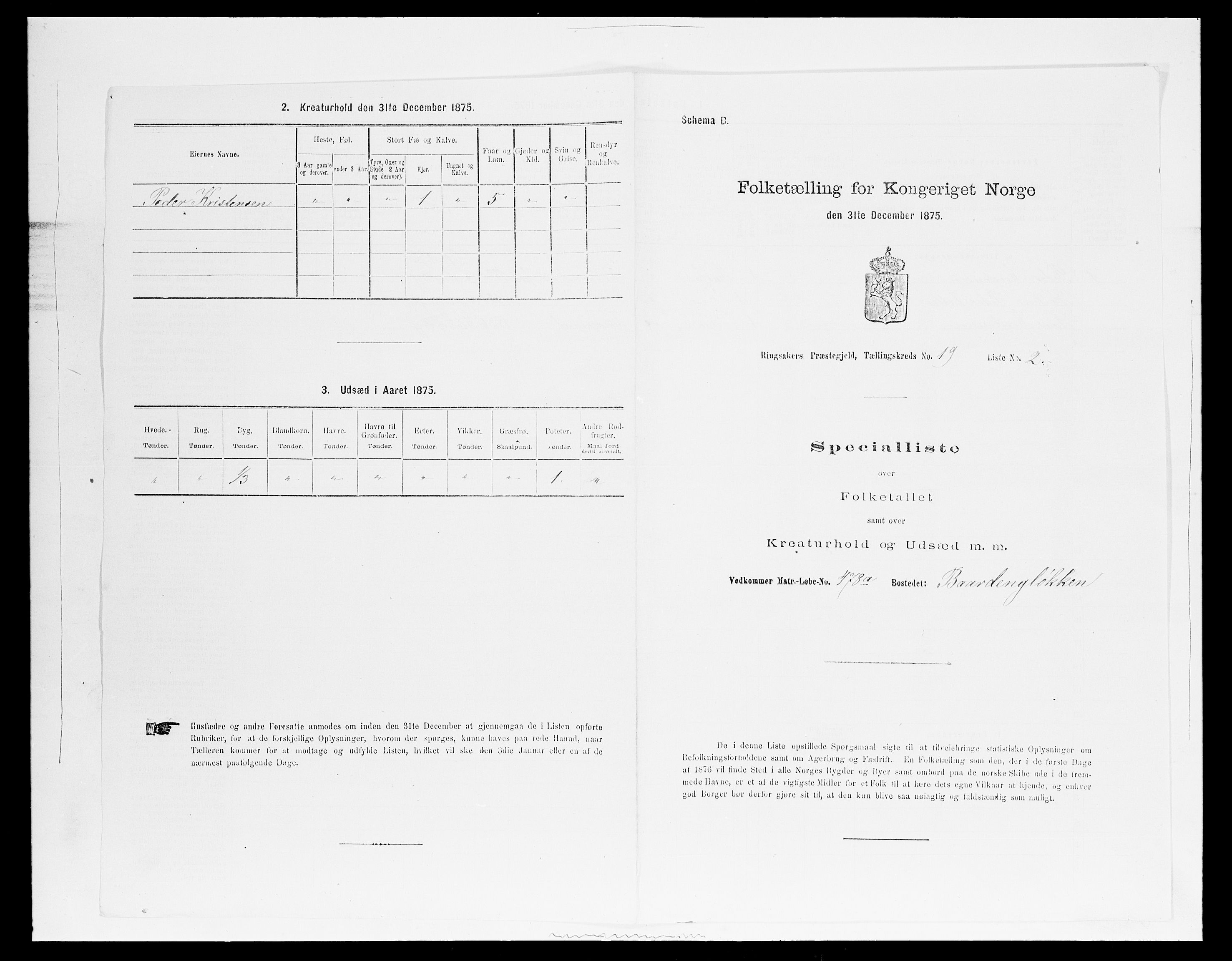 SAH, 1875 census for 0412P Ringsaker, 1875, p. 3737