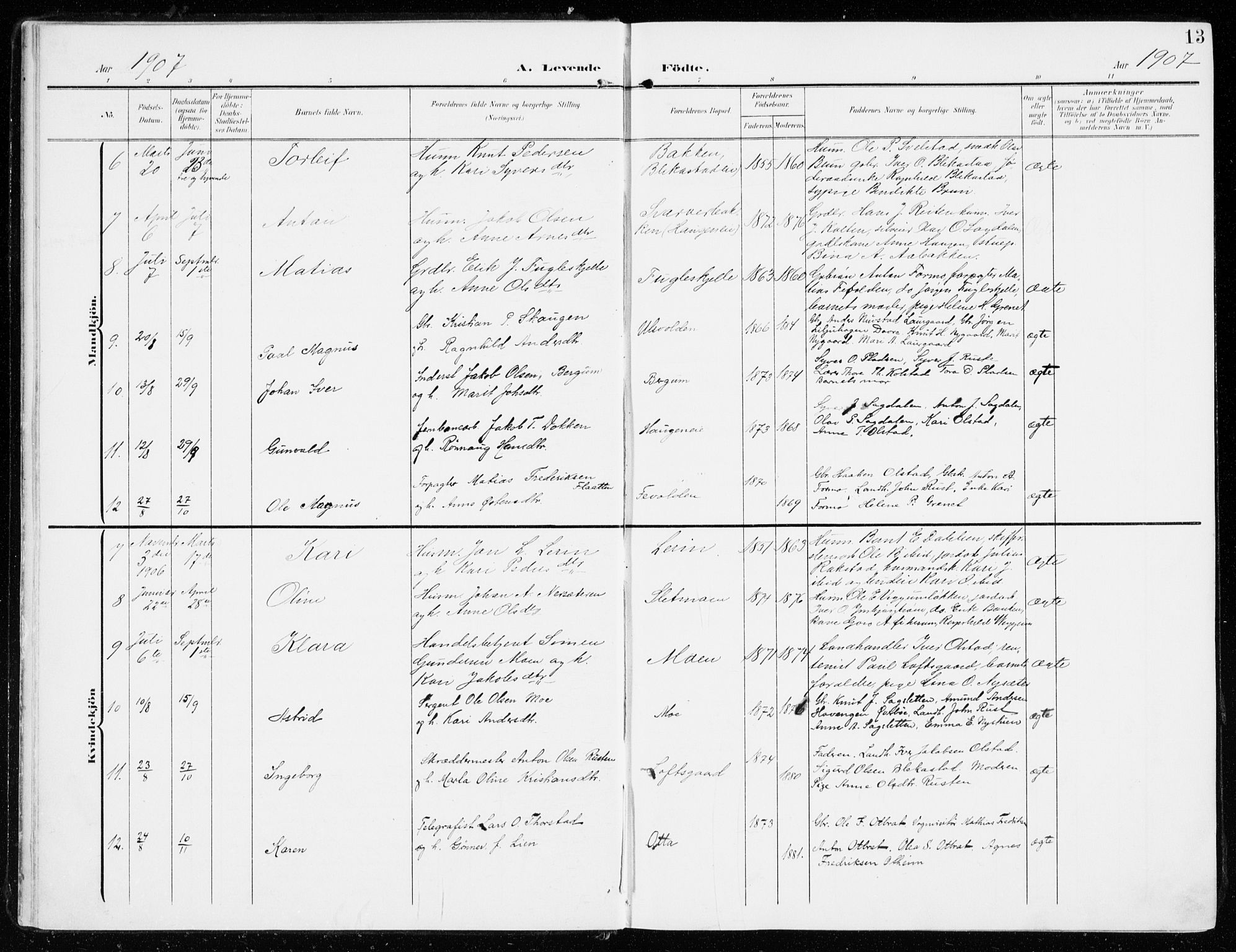 Sel prestekontor, SAH/PREST-074/H/Ha/Haa/L0002: Parish register (official) no. 2, 1905-1919, p. 13