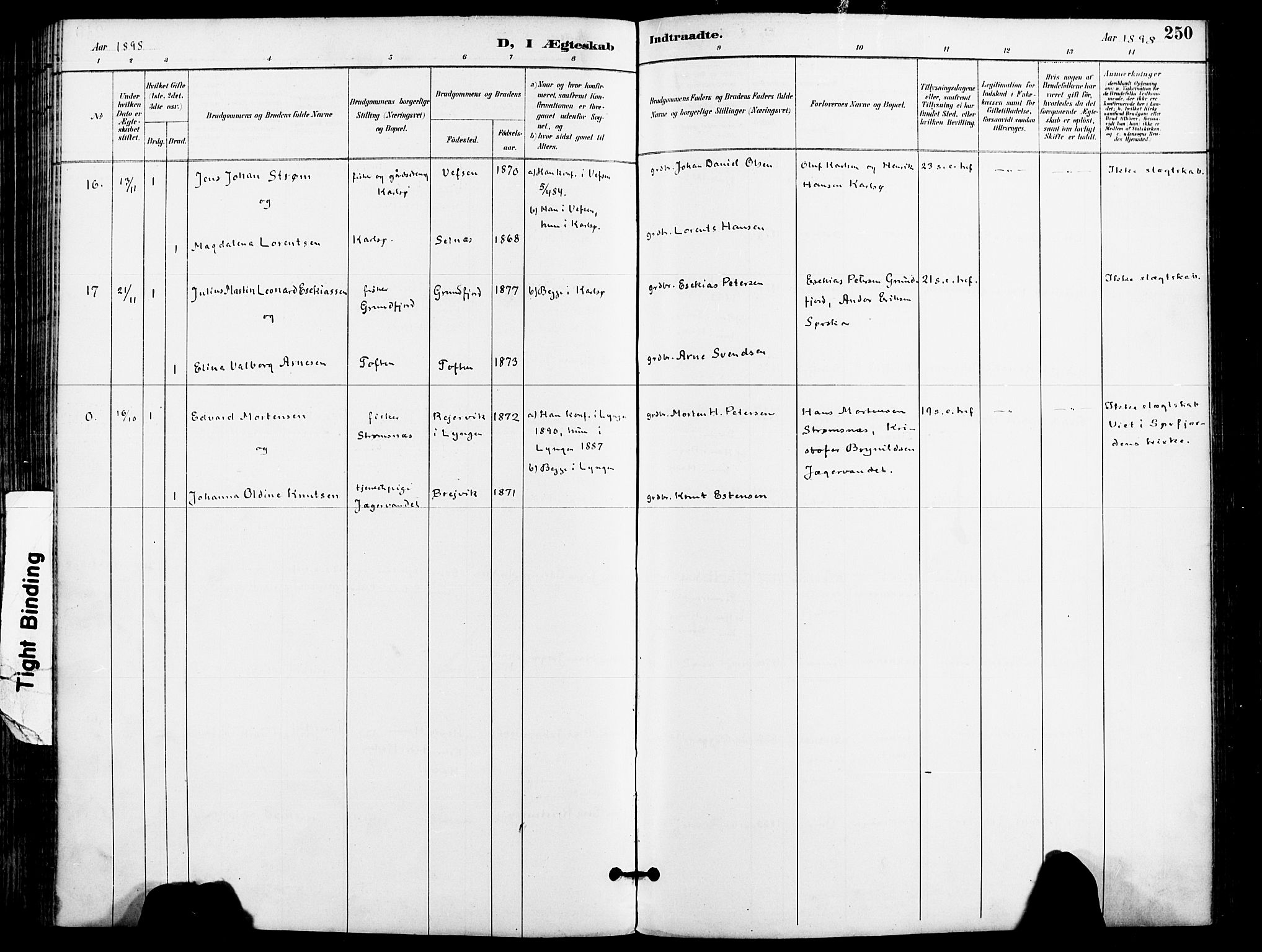 Karlsøy sokneprestembete, AV/SATØ-S-1299/H/Ha/Haa/L0007kirke: Parish register (official) no. 7, 1891-1902, p. 250