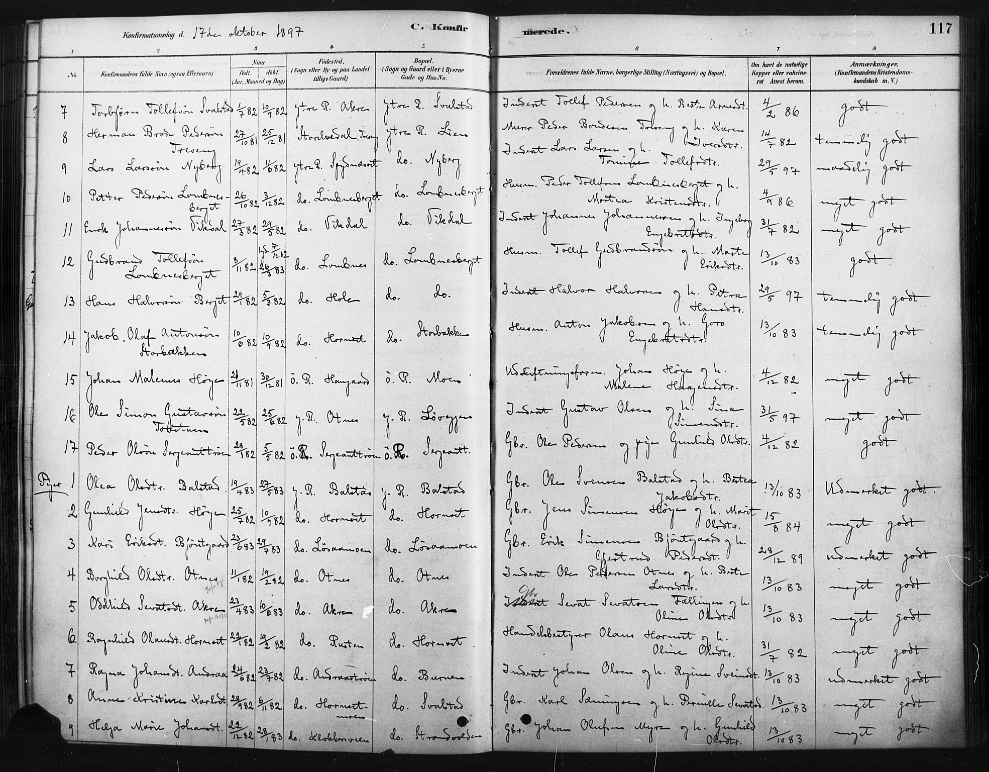 Rendalen prestekontor, AV/SAH-PREST-054/H/Ha/Haa/L0010: Parish register (official) no. 10, 1878-1901, p. 117