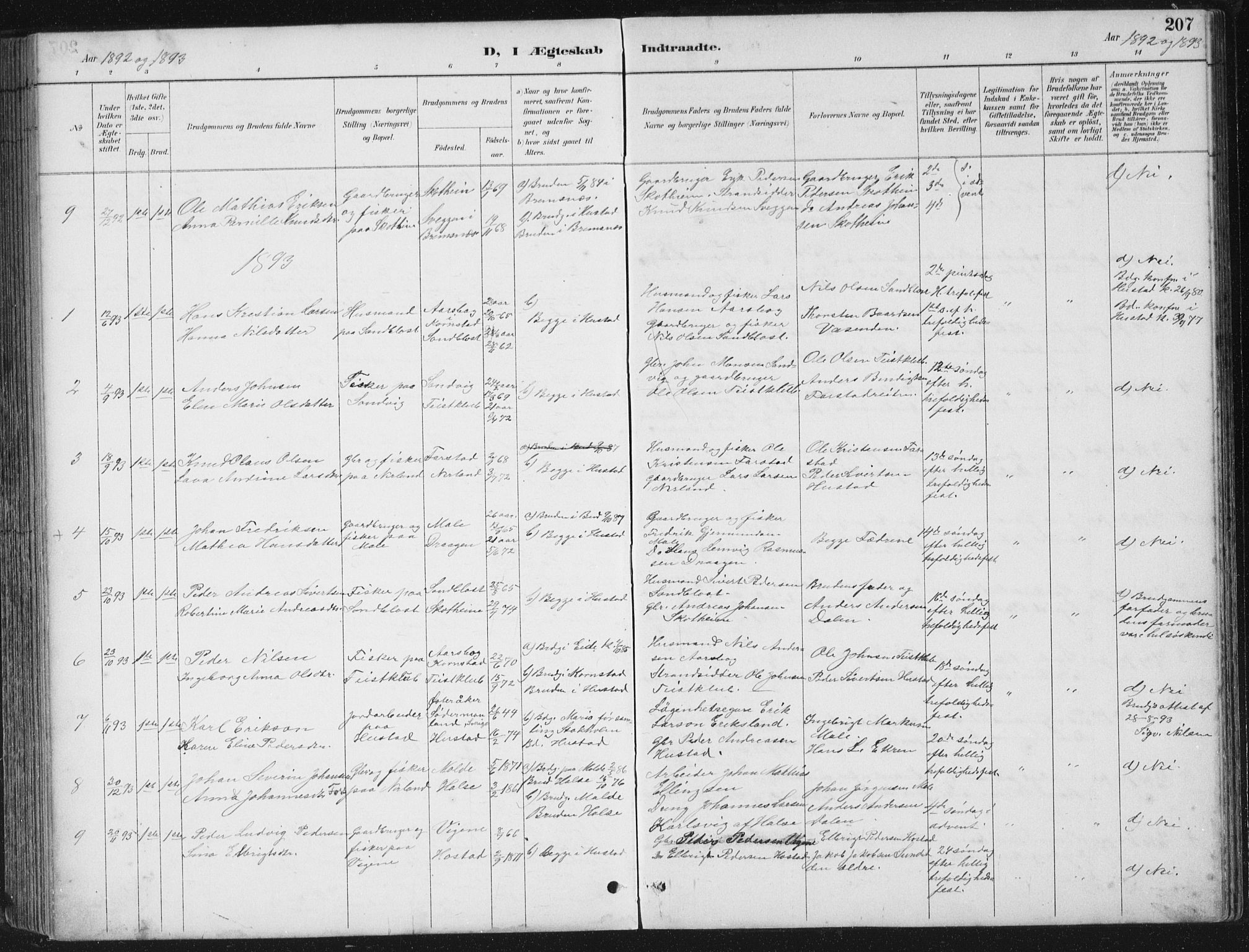 Ministerialprotokoller, klokkerbøker og fødselsregistre - Møre og Romsdal, SAT/A-1454/567/L0783: Parish register (copy) no. 567C03, 1887-1903, p. 207
