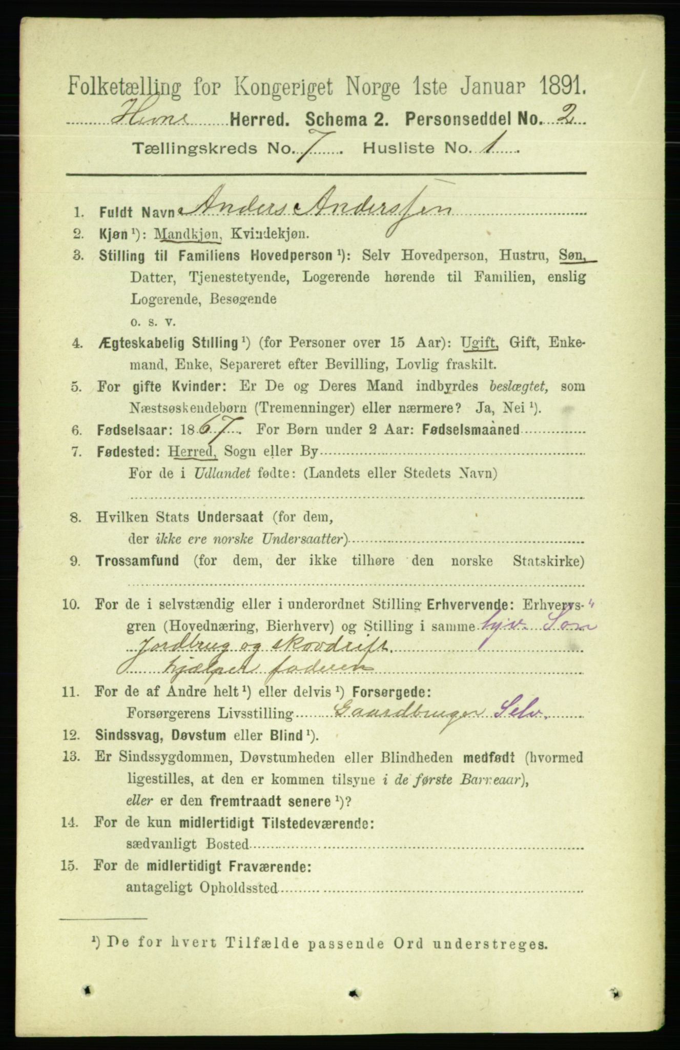 RA, 1891 census for 1612 Hemne, 1891, p. 4145