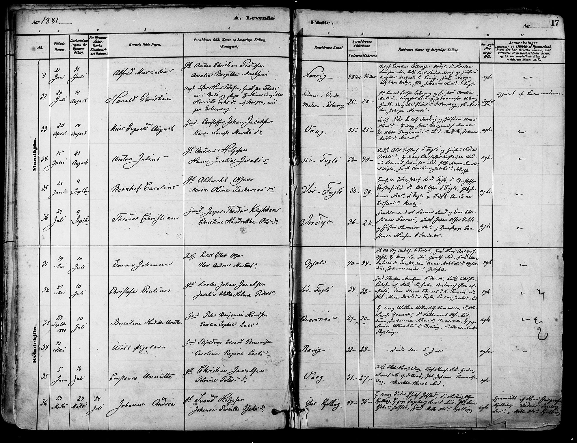 Ministerialprotokoller, klokkerbøker og fødselsregistre - Nordland, SAT/A-1459/805/L0099: Parish register (official) no. 805A06, 1880-1891, p. 17