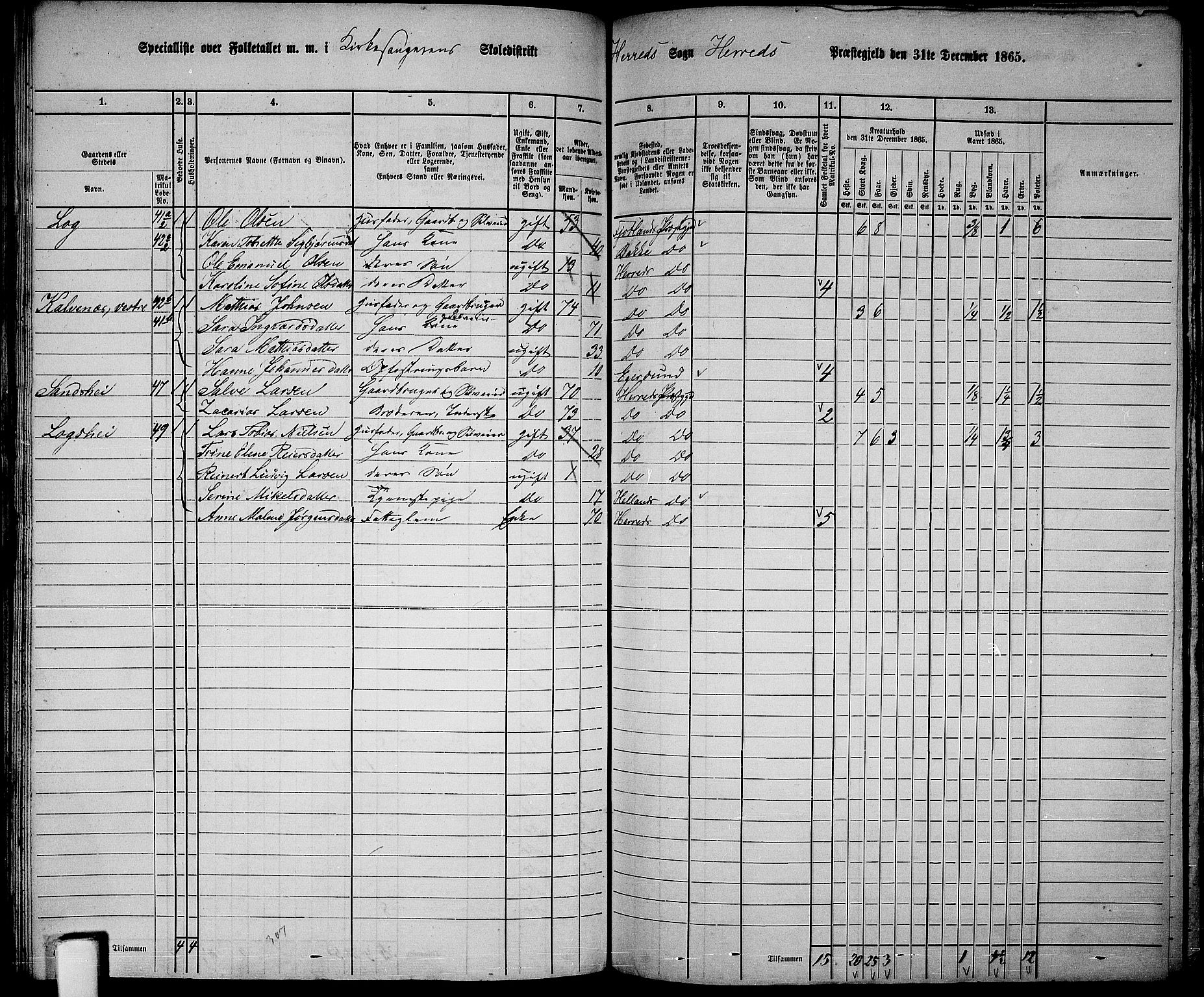 RA, 1865 census for Herad, 1865, p. 19