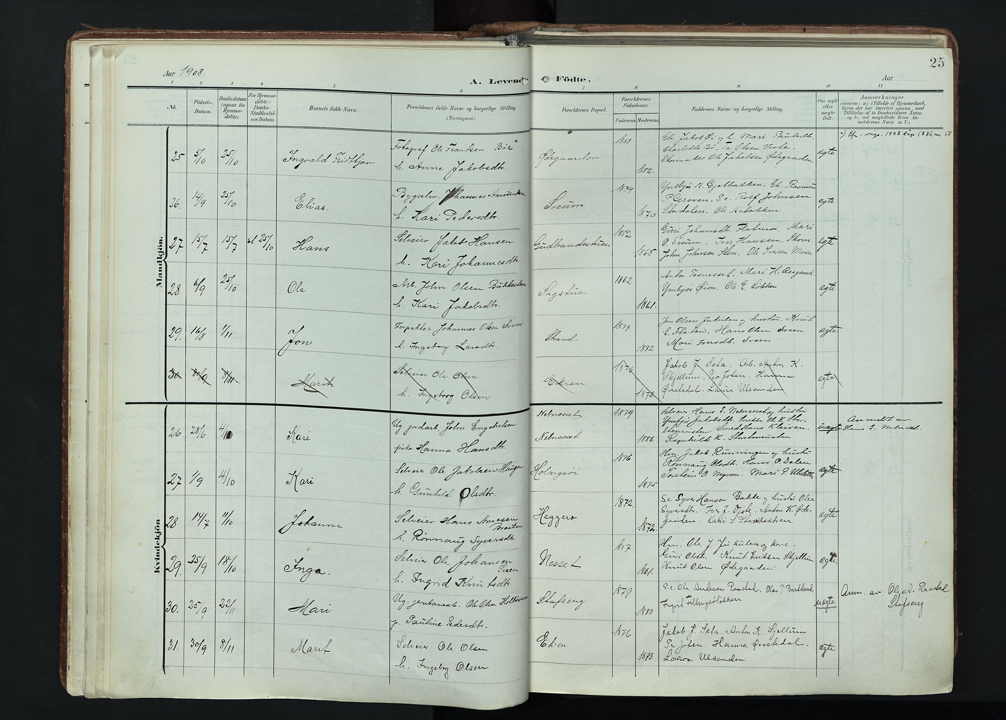 Vågå prestekontor, AV/SAH-PREST-076/H/Ha/Haa/L0011: Parish register (official) no. 11, 1905-1924, p. 25