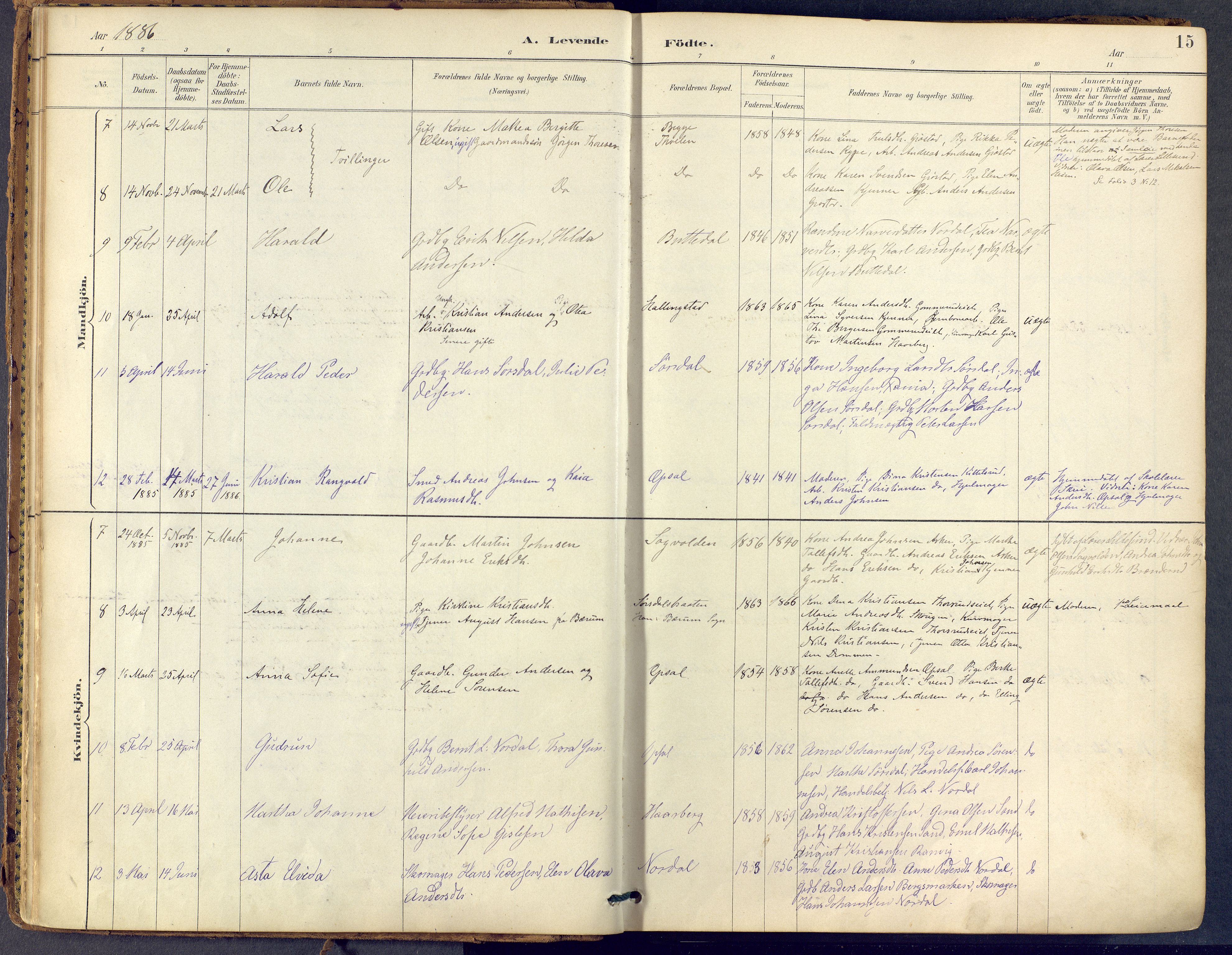 Lier kirkebøker, AV/SAKO-A-230/F/Fb/L0001: Parish register (official) no. II 1, 1883-1910, p. 15