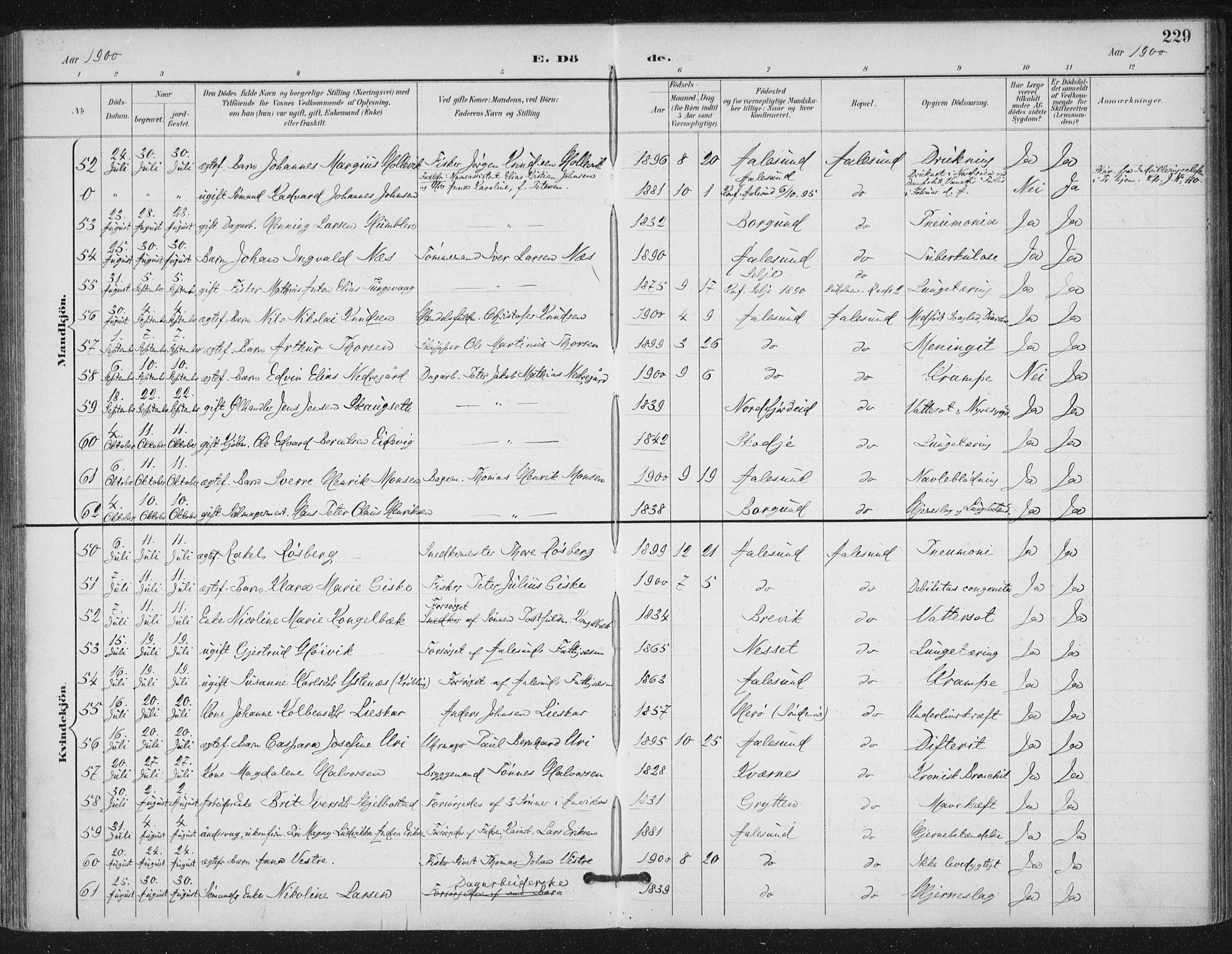 Ministerialprotokoller, klokkerbøker og fødselsregistre - Møre og Romsdal, AV/SAT-A-1454/529/L0457: Parish register (official) no. 529A07, 1894-1903, p. 229