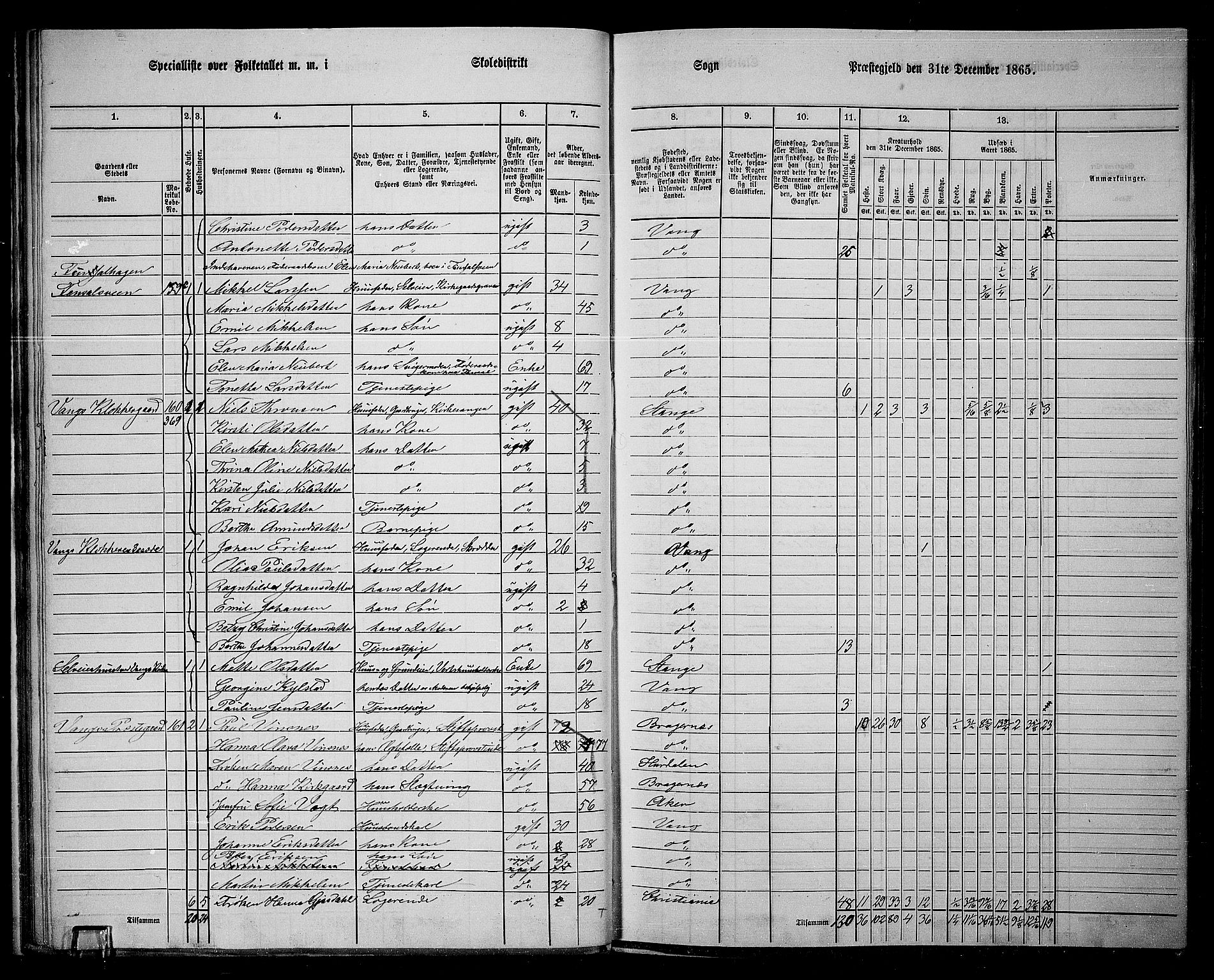 RA, 1865 census for Vang/Vang og Furnes, 1865, p. 181