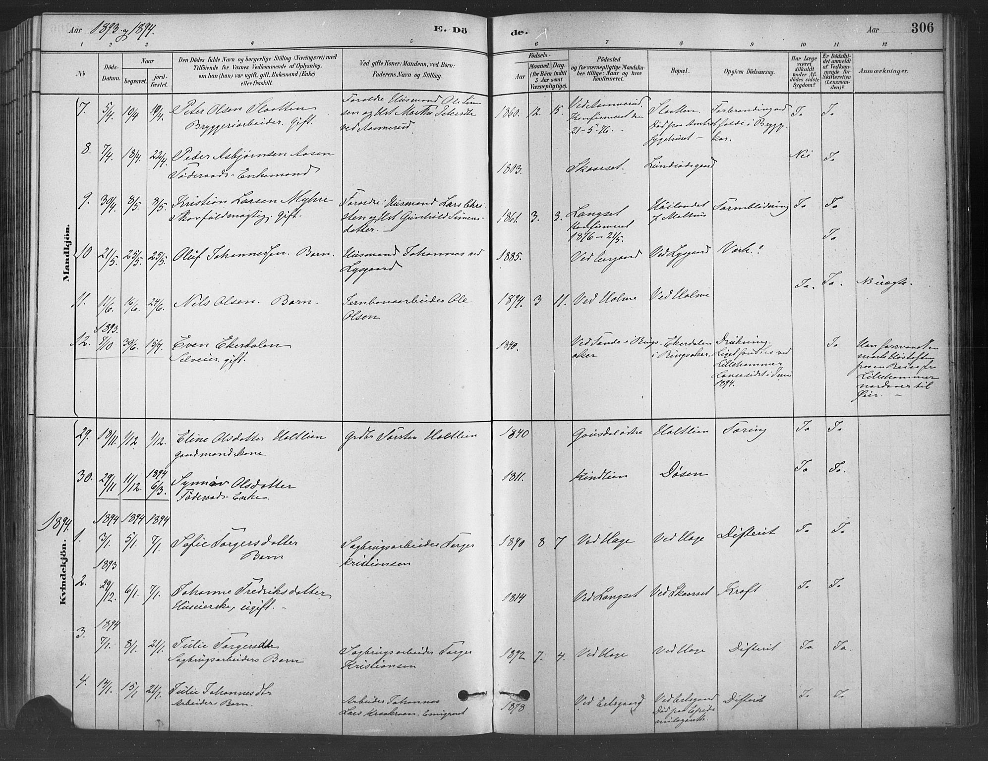 Fåberg prestekontor, SAH/PREST-086/H/Ha/Haa/L0009: Parish register (official) no. 9, 1879-1898, p. 306