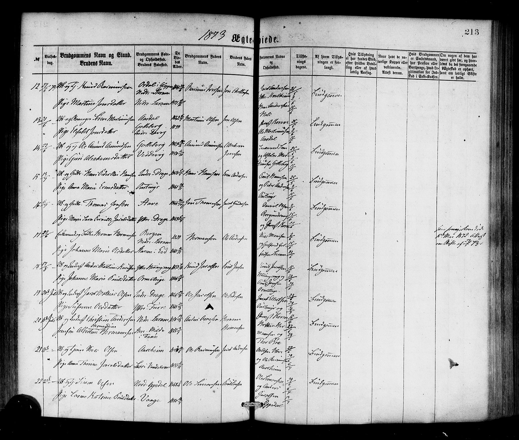 Selje sokneprestembete, SAB/A-99938/H/Ha/Haa/Haaa: Parish register (official) no. A 12, 1870-1880, p. 213