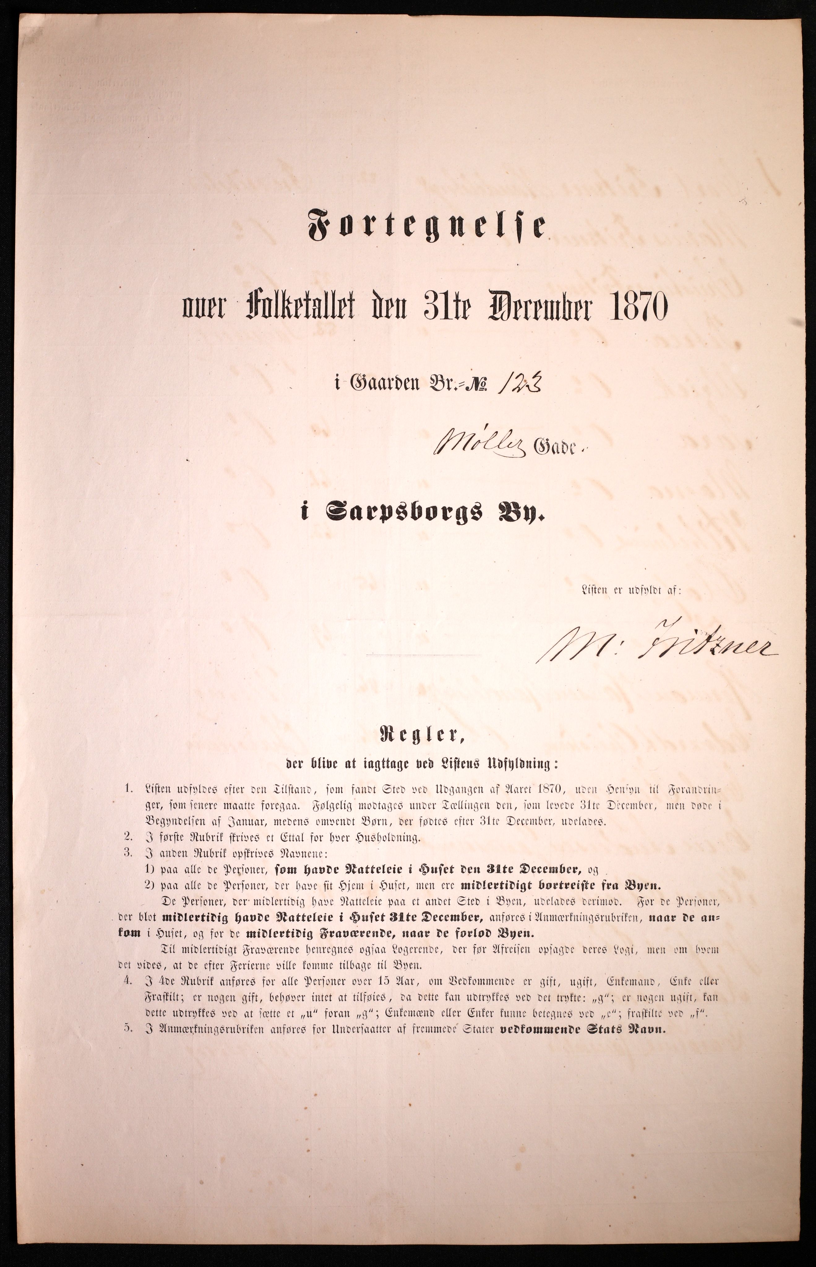 RA, 1870 census for 0102 Sarpsborg, 1870, p. 505