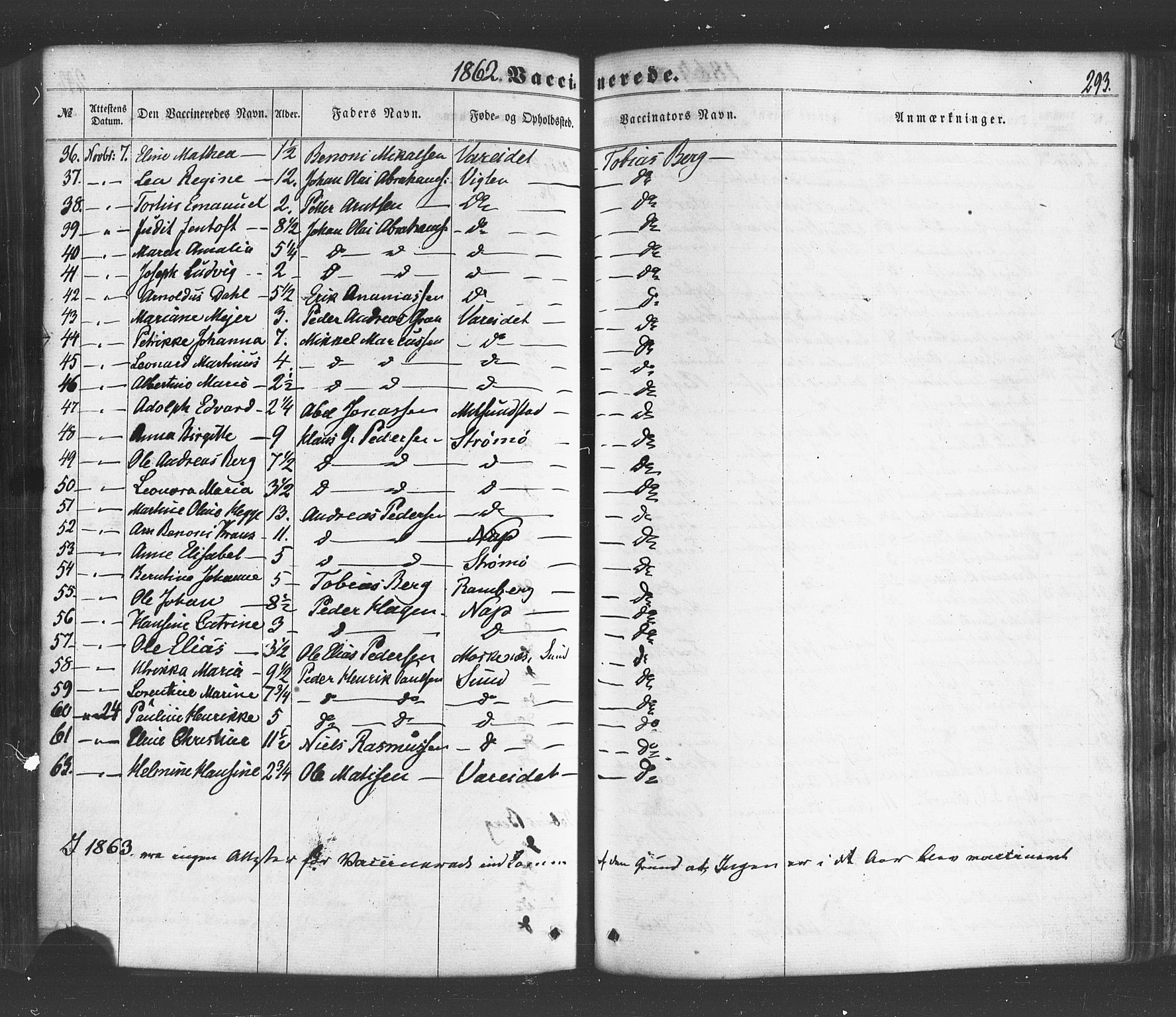 Ministerialprotokoller, klokkerbøker og fødselsregistre - Nordland, AV/SAT-A-1459/885/L1203: Parish register (official) no. 885A04, 1859-1877, p. 293