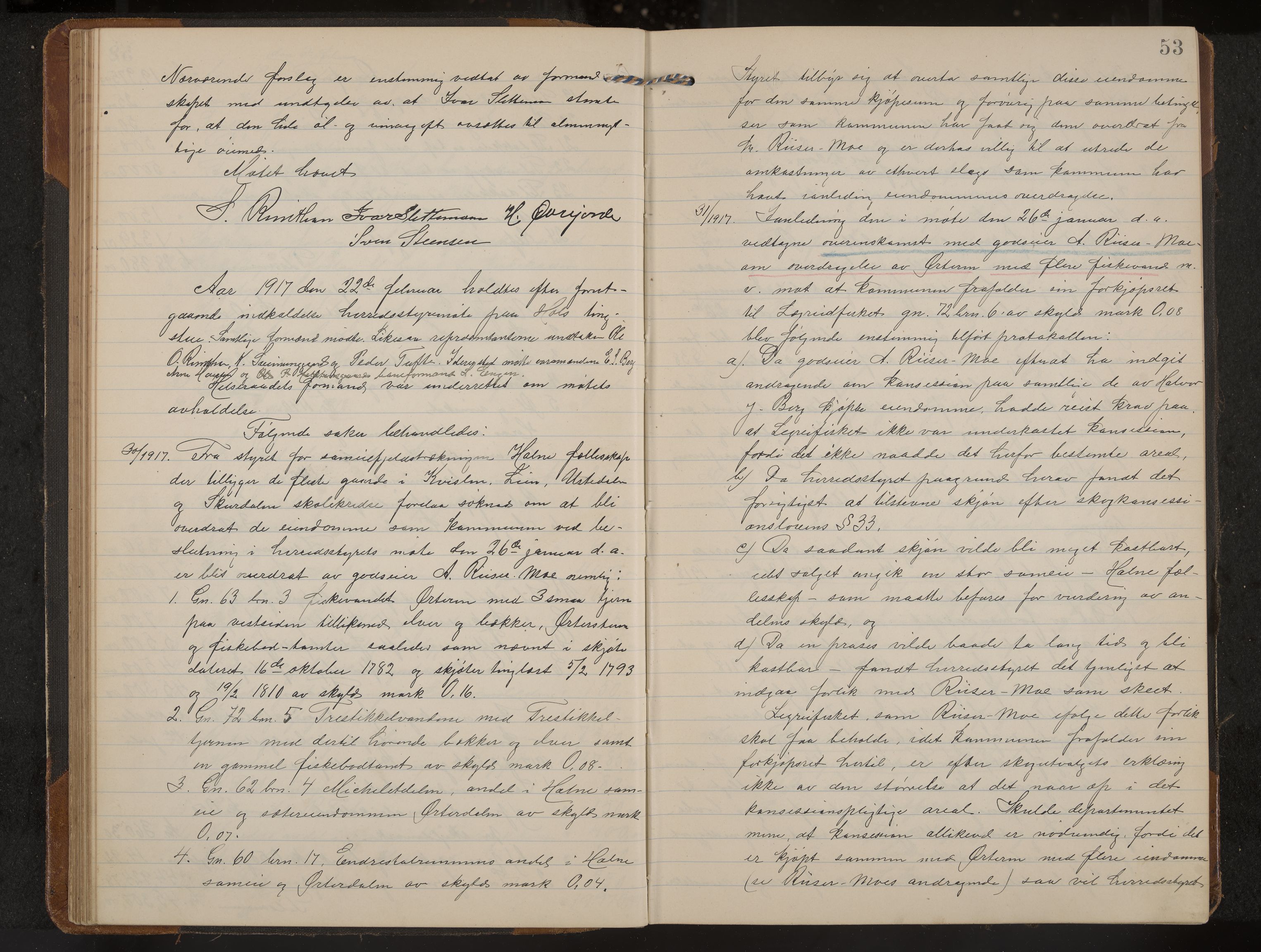 Hol formannskap og sentraladministrasjon, IKAK/0620021-1/A/L0006: Møtebok, 1916-1922, p. 53