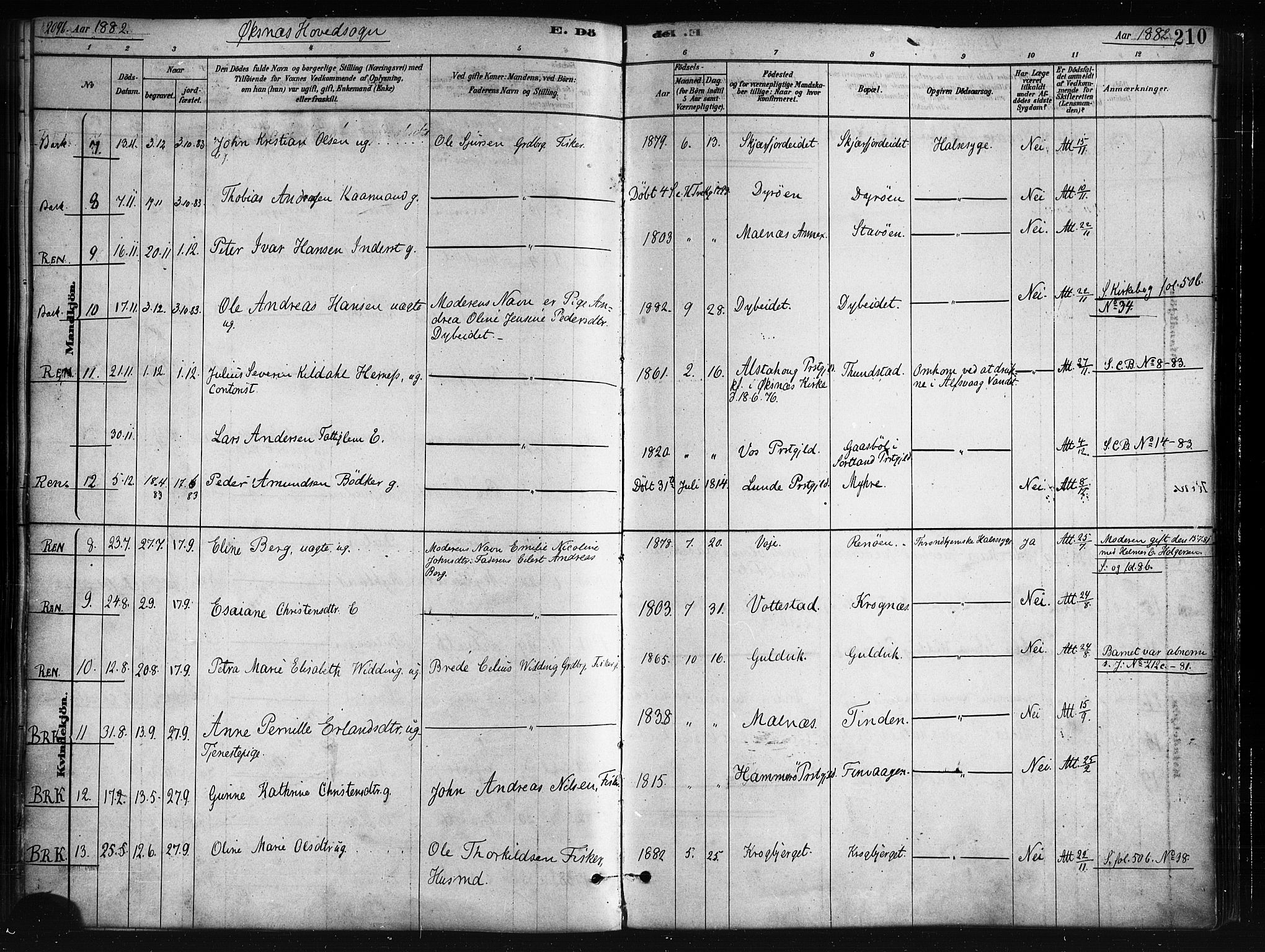 Ministerialprotokoller, klokkerbøker og fødselsregistre - Nordland, AV/SAT-A-1459/893/L1335: Parish register (official) no. 893A08 /1, 1878-1884, p. 210