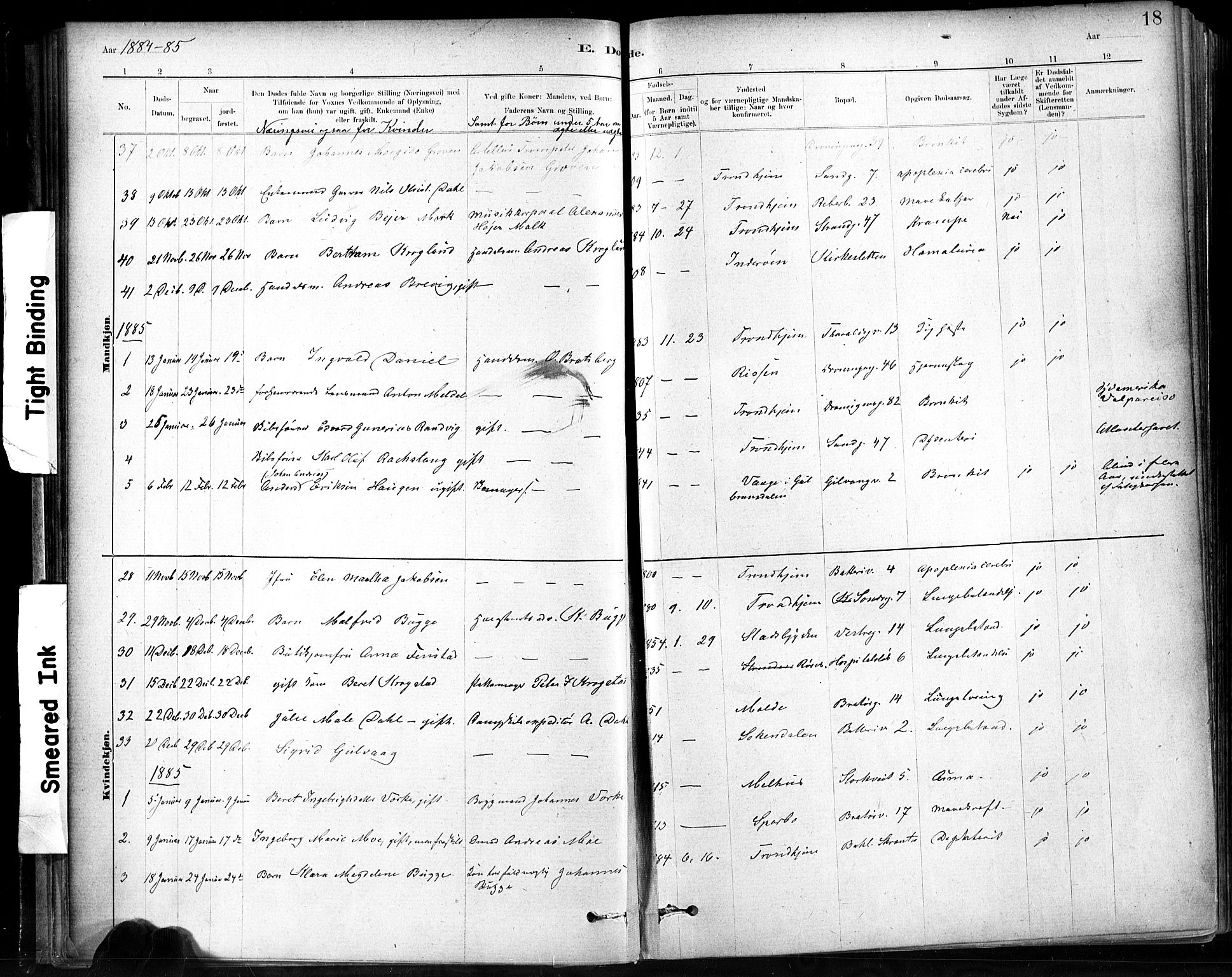 Ministerialprotokoller, klokkerbøker og fødselsregistre - Sør-Trøndelag, SAT/A-1456/602/L0120: Parish register (official) no. 602A18, 1880-1913, p. 18
