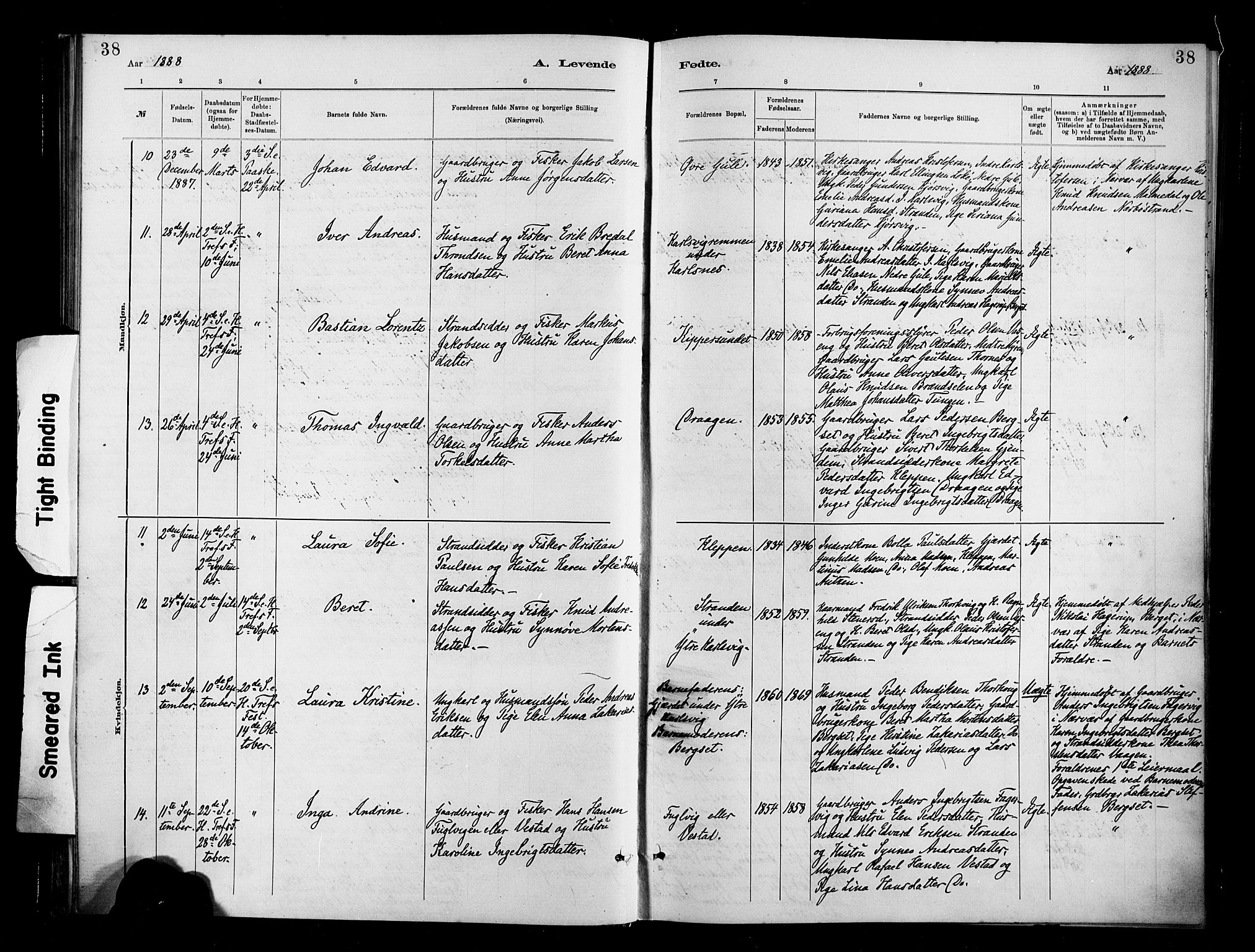 Ministerialprotokoller, klokkerbøker og fødselsregistre - Møre og Romsdal, AV/SAT-A-1454/566/L0769: Parish register (official) no. 566A08, 1881-1903, p. 38