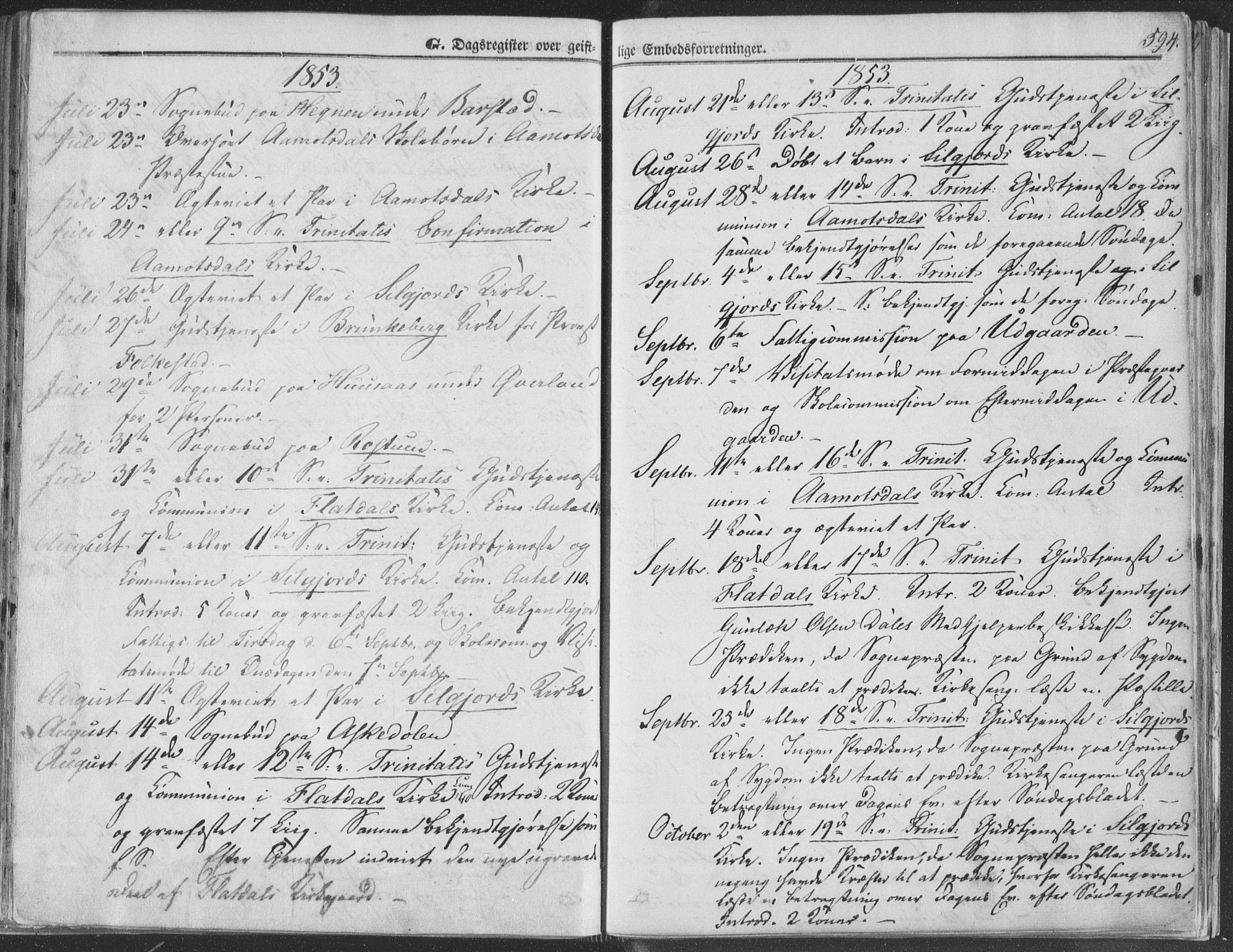 Seljord kirkebøker, AV/SAKO-A-20/F/Fa/L012b: Parish register (official) no. I 12B, 1850-1865, p. 594