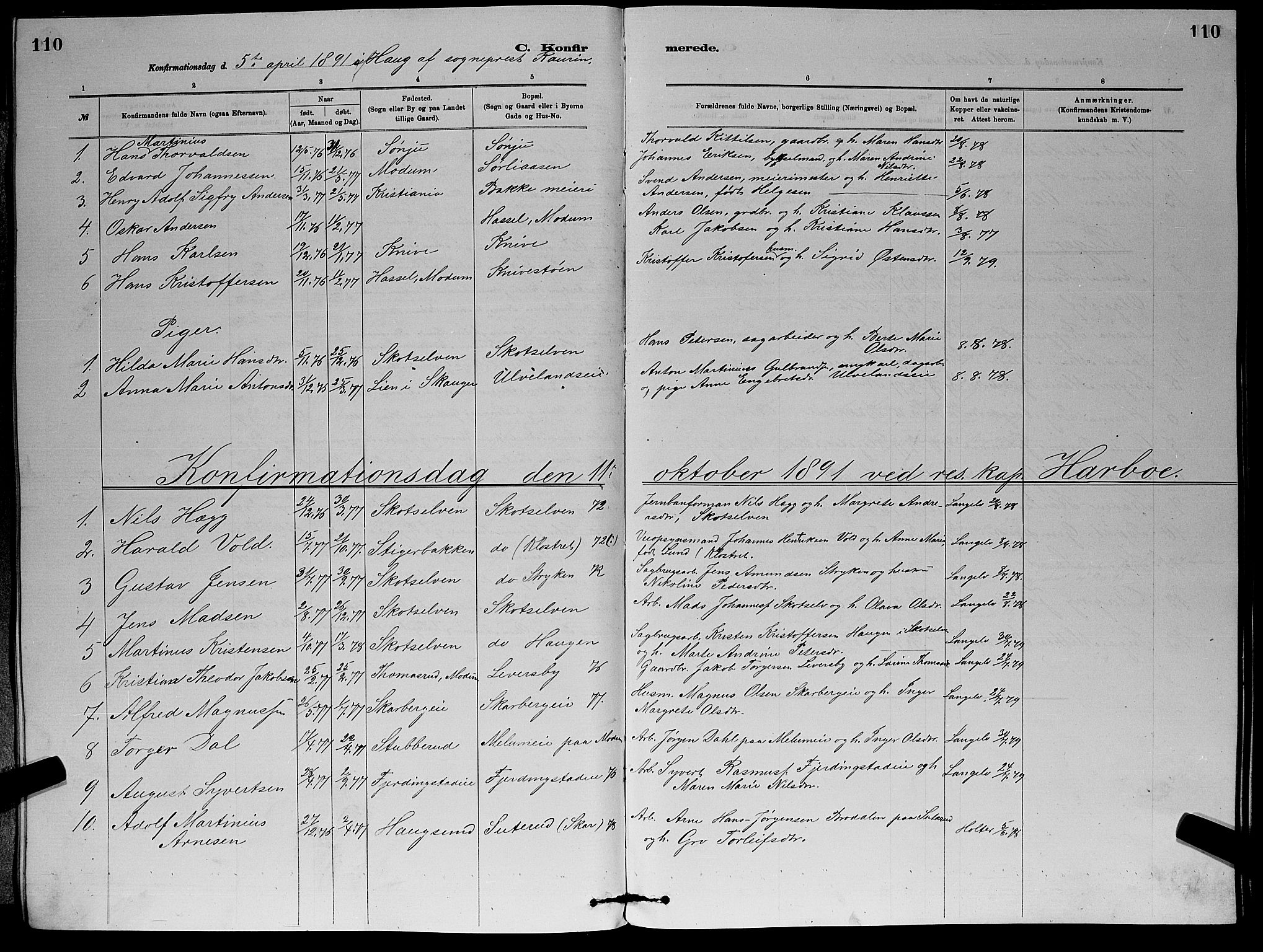 Eiker kirkebøker, SAKO/A-4/G/Gb/L0003: Parish register (copy) no. II 3, 1880-1893, p. 110