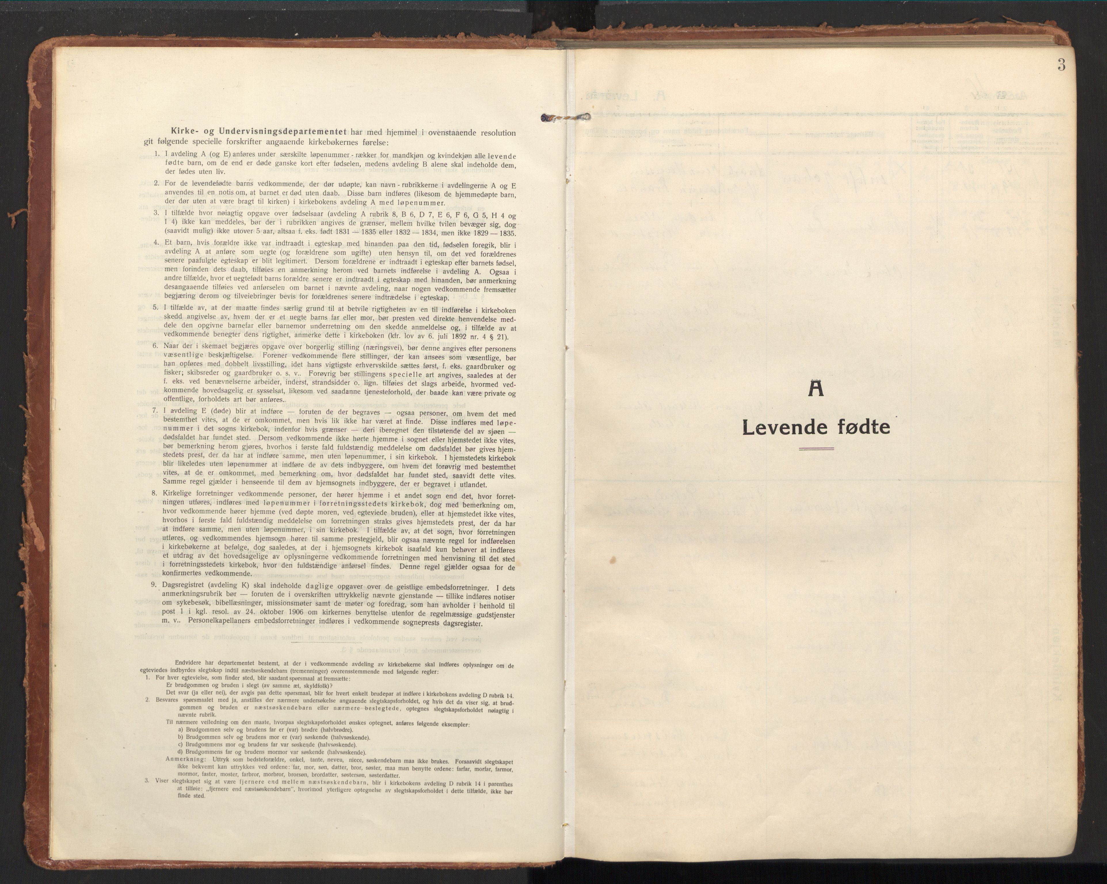 Ministerialprotokoller, klokkerbøker og fødselsregistre - Nordland, SAT/A-1459/858/L0833: Parish register (official) no. 858A03, 1916-1934, p. 3