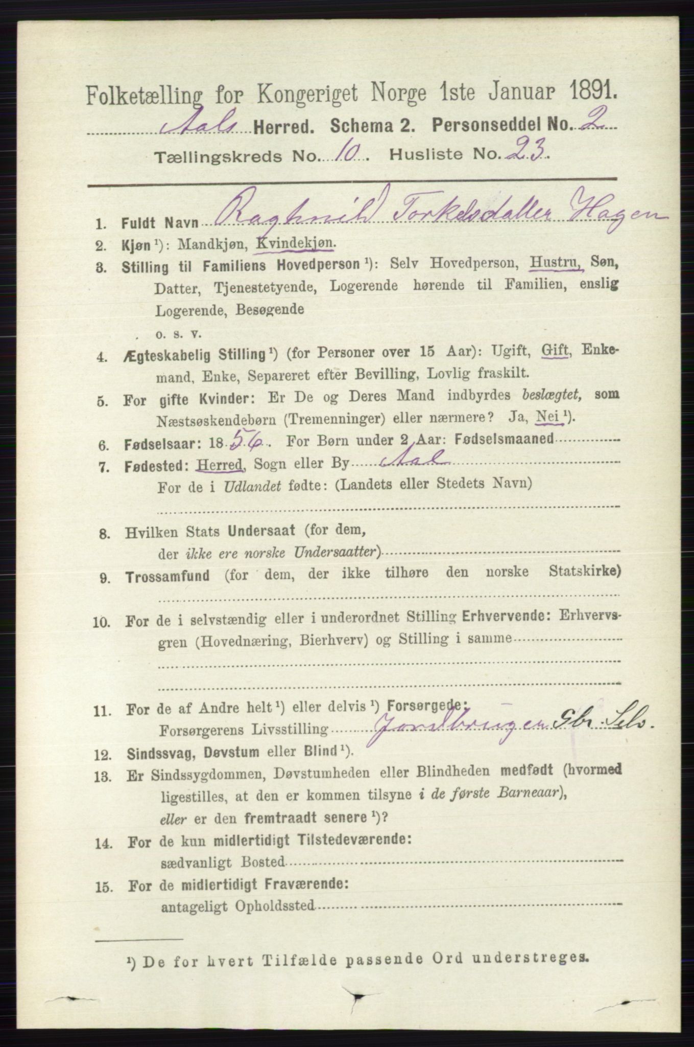 RA, 1891 census for 0619 Ål, 1891, p. 2802