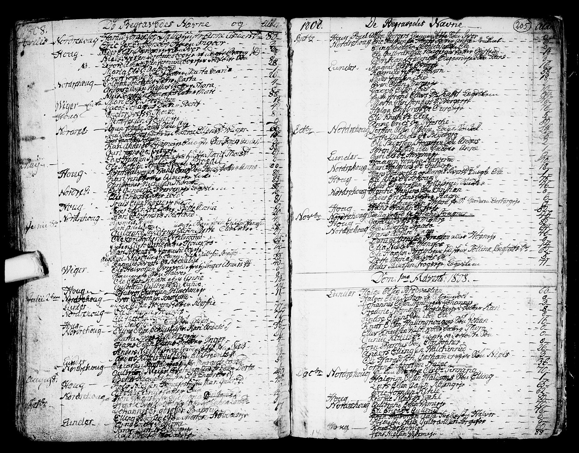 Norderhov kirkebøker, AV/SAKO-A-237/F/Fa/L0006: Parish register (official) no. 6, 1789-1811, p. 205