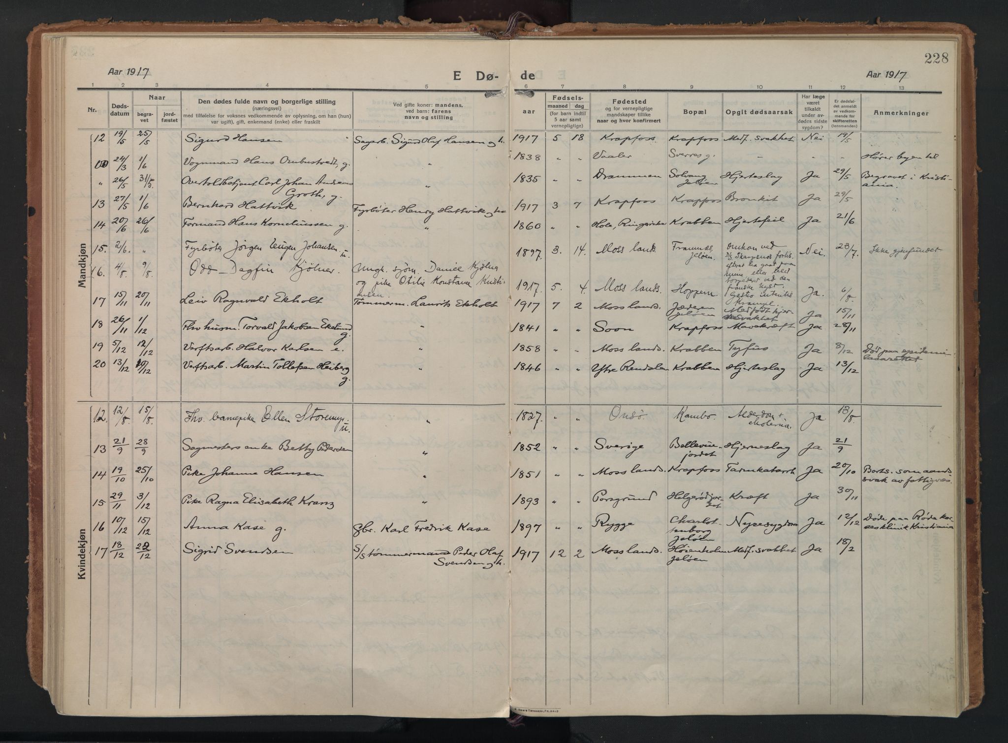 Moss prestekontor Kirkebøker, SAO/A-2003/F/Fc/L0004: Parish register (official) no. III 4, 1915-1929, p. 228