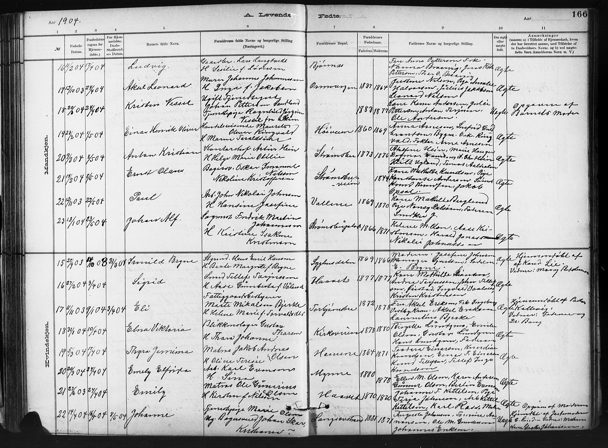 Barbu sokneprestkontor, AV/SAK-1111-0003/F/Fb/L0002: Parish register (copy) no. B 2, 1890-1922, p. 166