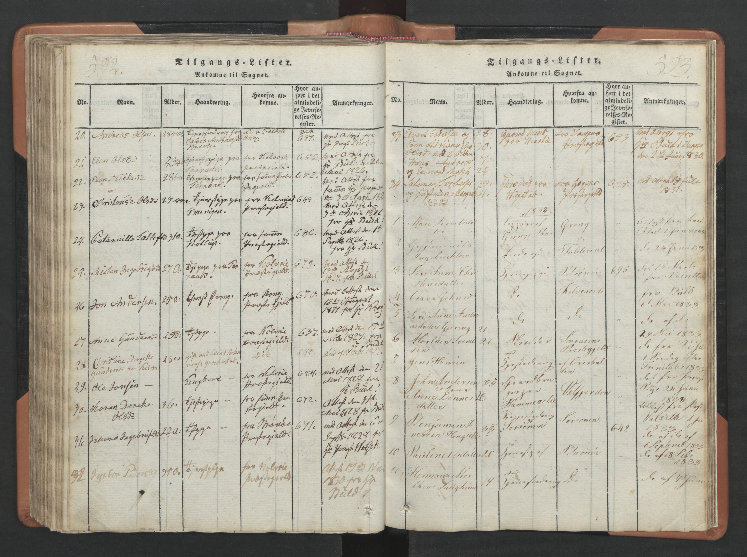 Ministerialprotokoller, klokkerbøker og fødselsregistre - Nordland, SAT/A-1459/810/L0157: Parish register (copy) no. 810C01, 1819-1842, p. 592-593