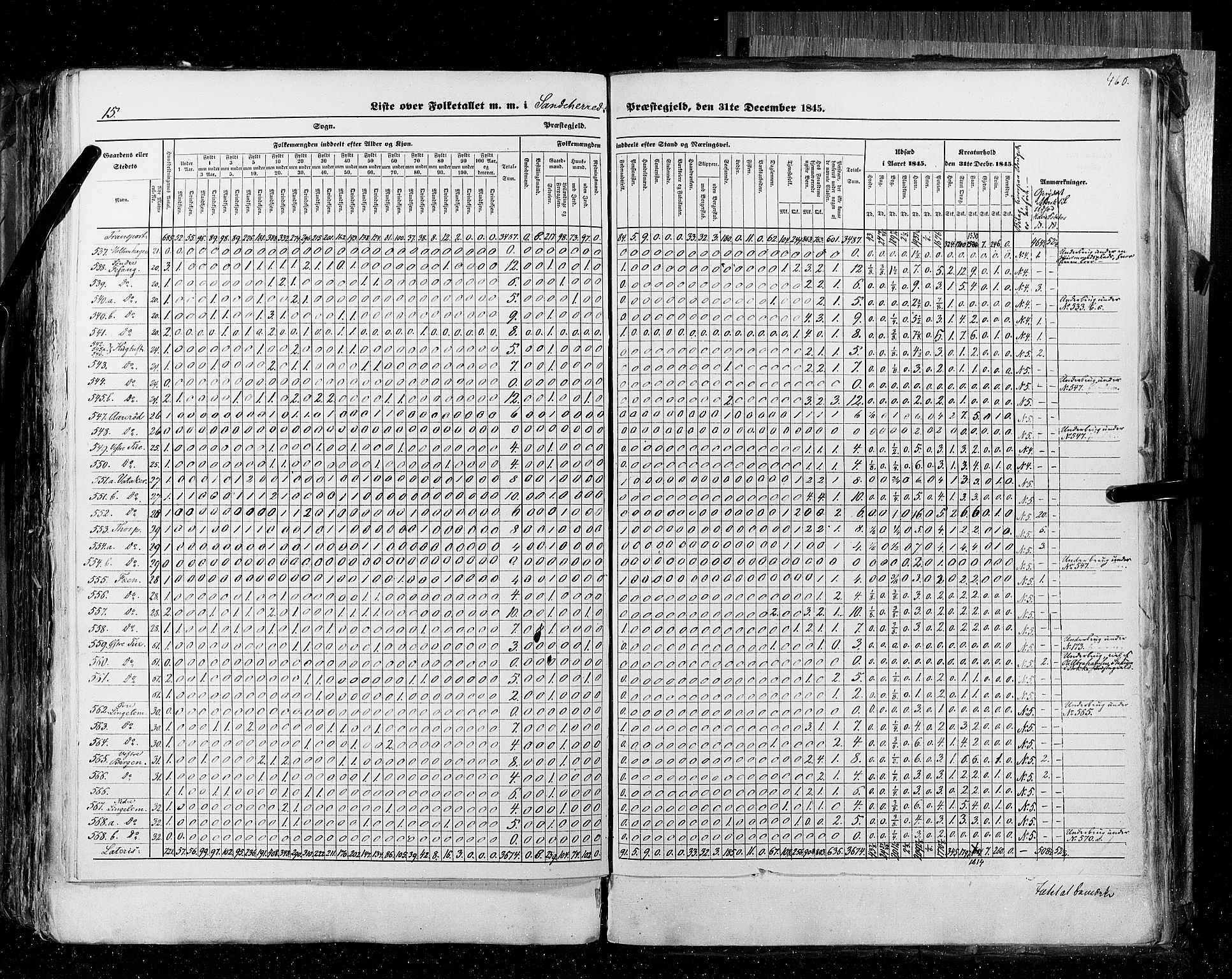 RA, Census 1845, vol. 4: Buskerud amt og Jarlsberg og Larvik amt, 1845, p. 460