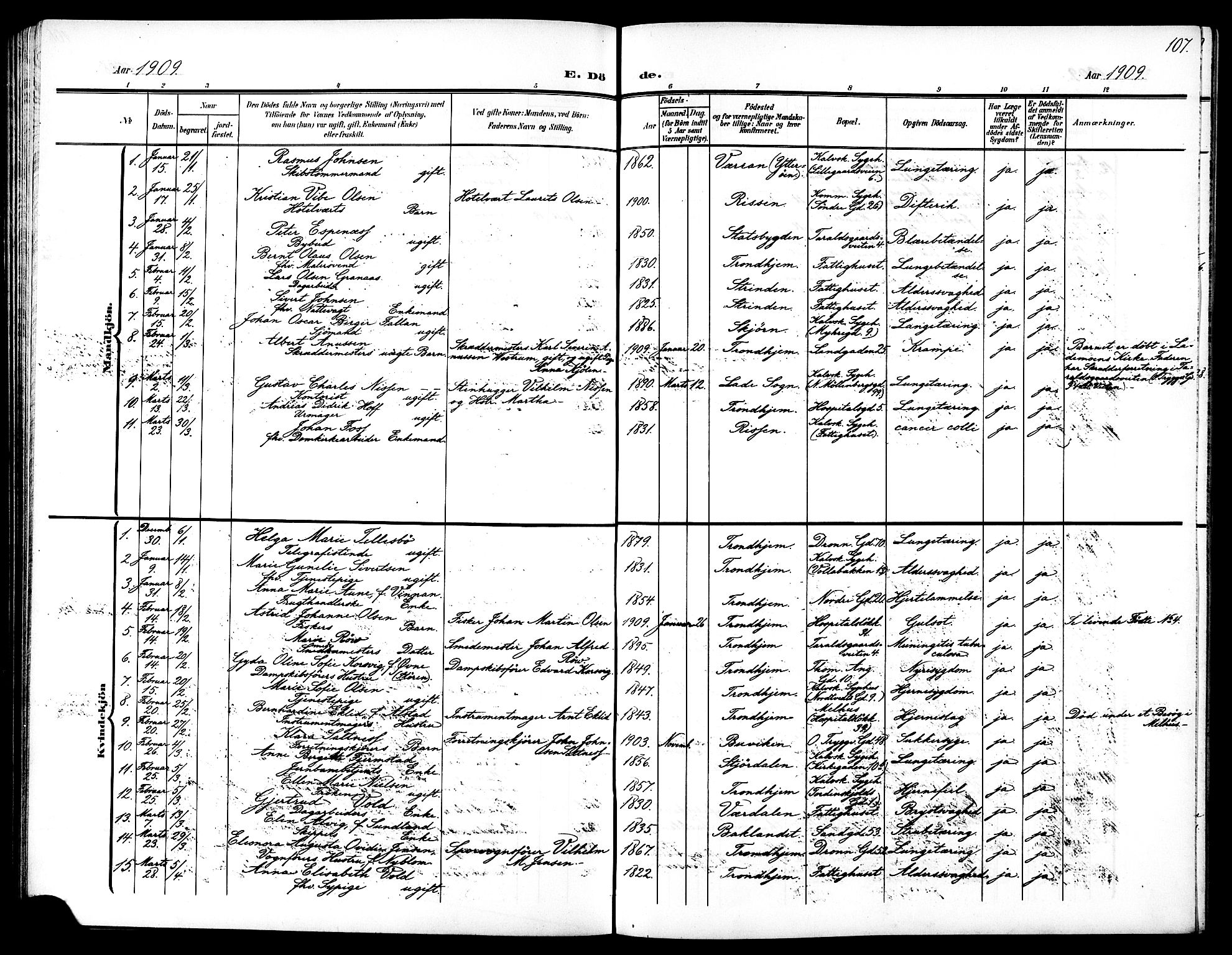 Ministerialprotokoller, klokkerbøker og fødselsregistre - Sør-Trøndelag, AV/SAT-A-1456/602/L0146: Parish register (copy) no. 602C14, 1904-1914, p. 107