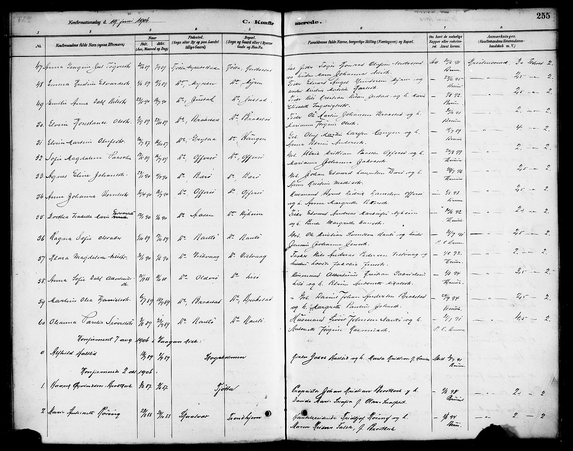 Ministerialprotokoller, klokkerbøker og fødselsregistre - Nordland, AV/SAT-A-1459/817/L0268: Parish register (copy) no. 817C03, 1884-1920, p. 255