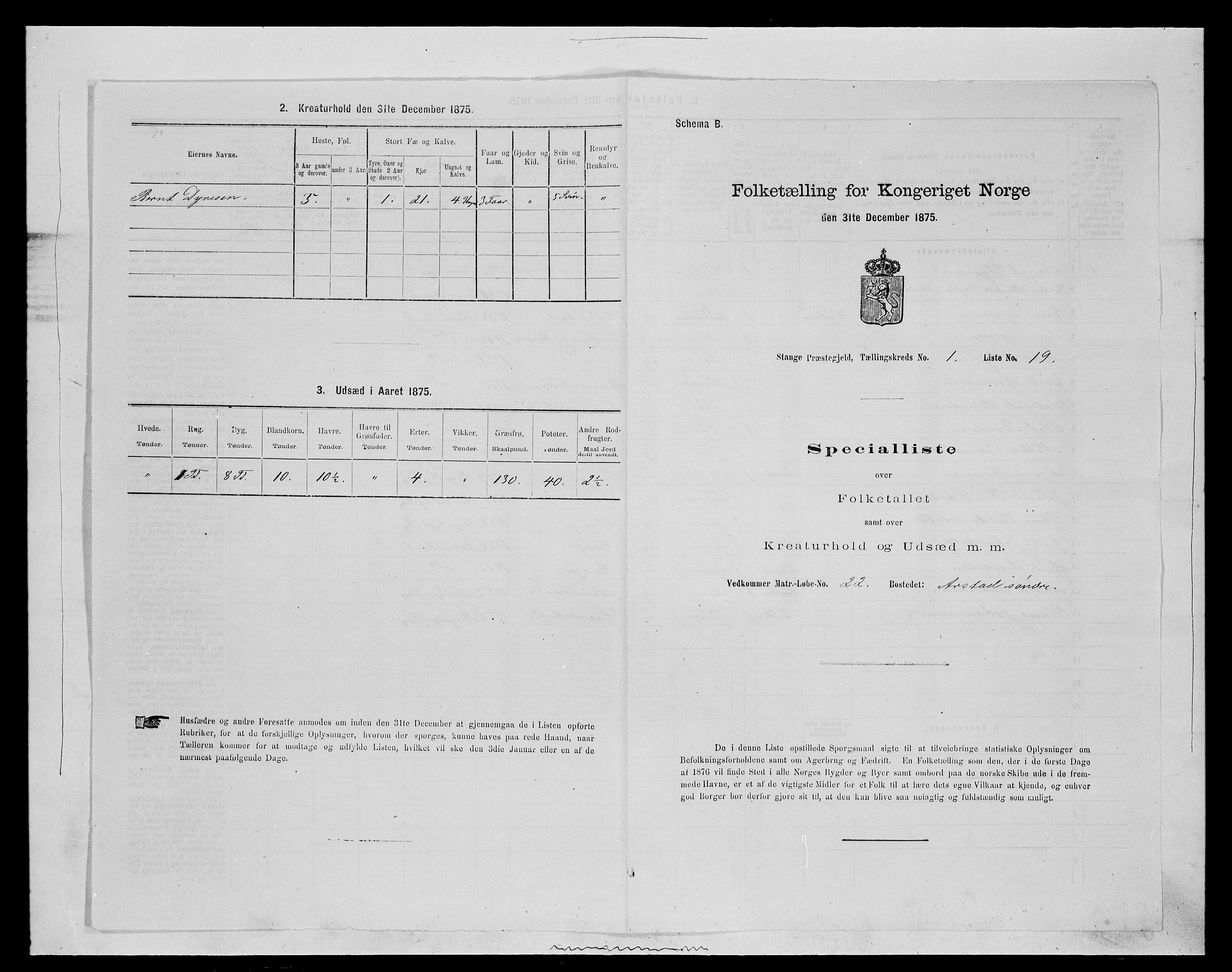 SAH, 1875 census for 0417P Stange, 1875, p. 138