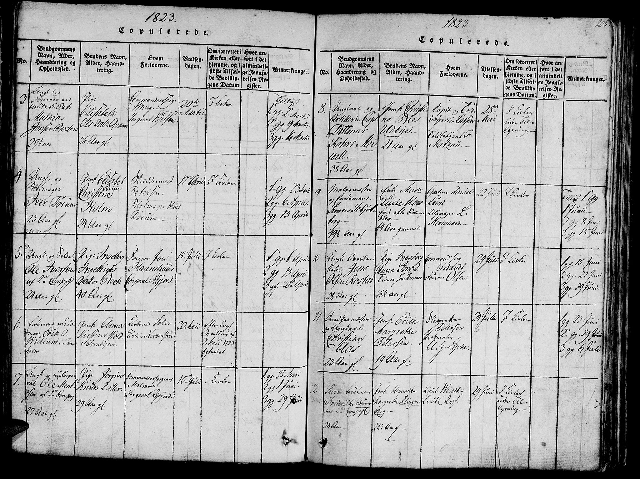Ministerialprotokoller, klokkerbøker og fødselsregistre - Sør-Trøndelag, SAT/A-1456/602/L0135: Parish register (copy) no. 602C03, 1815-1832, p. 205