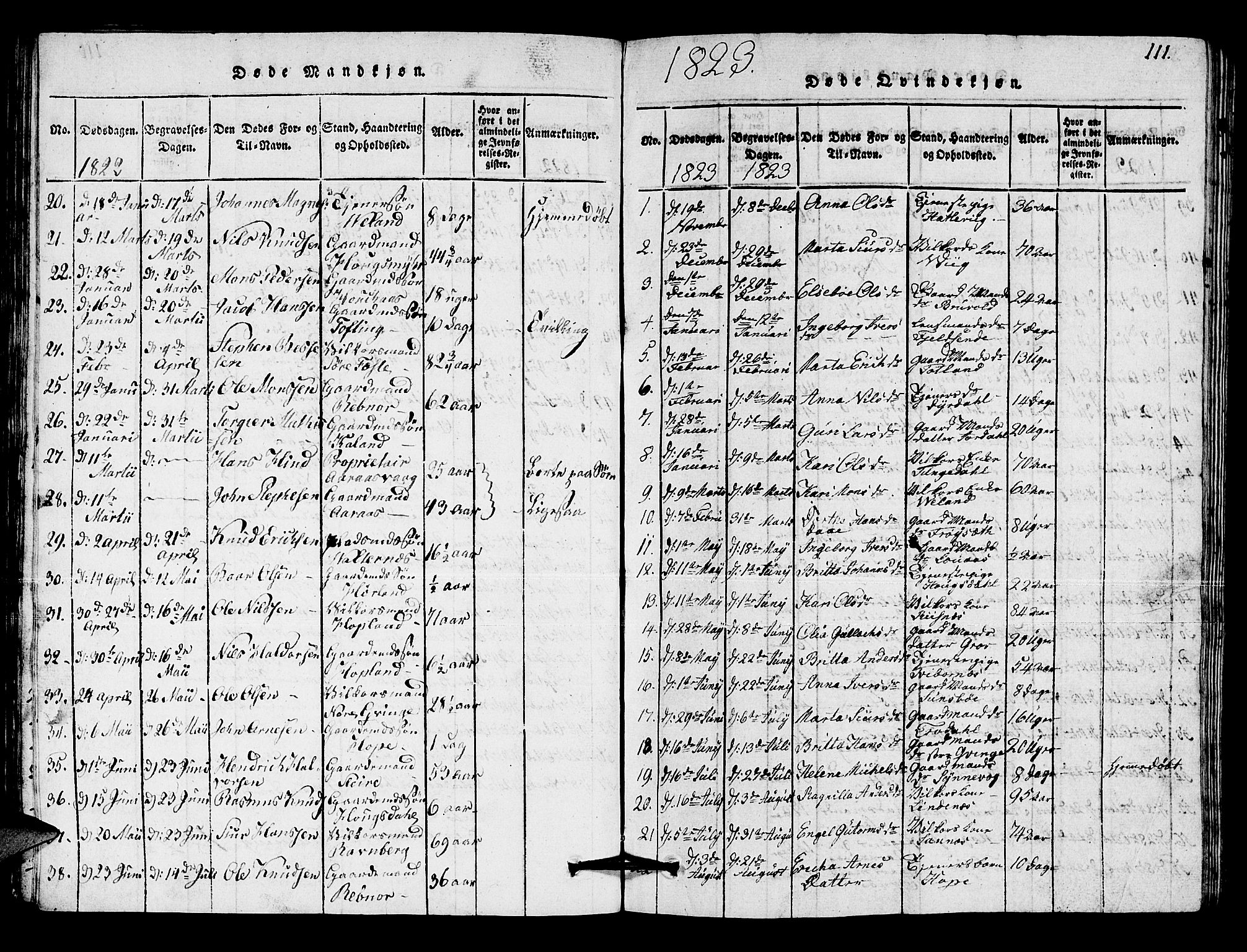 Lindås Sokneprestembete, AV/SAB-A-76701/H/Hab/Haba/L0001: Parish register (copy) no. A 1, 1816-1823, p. 111