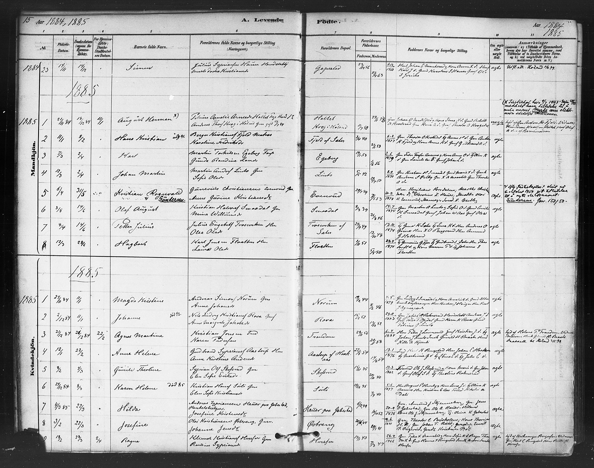 Trøgstad prestekontor Kirkebøker, SAO/A-10925/F/Fb/L0001: Parish register (official) no. II 1, 1878-1902, p. 15