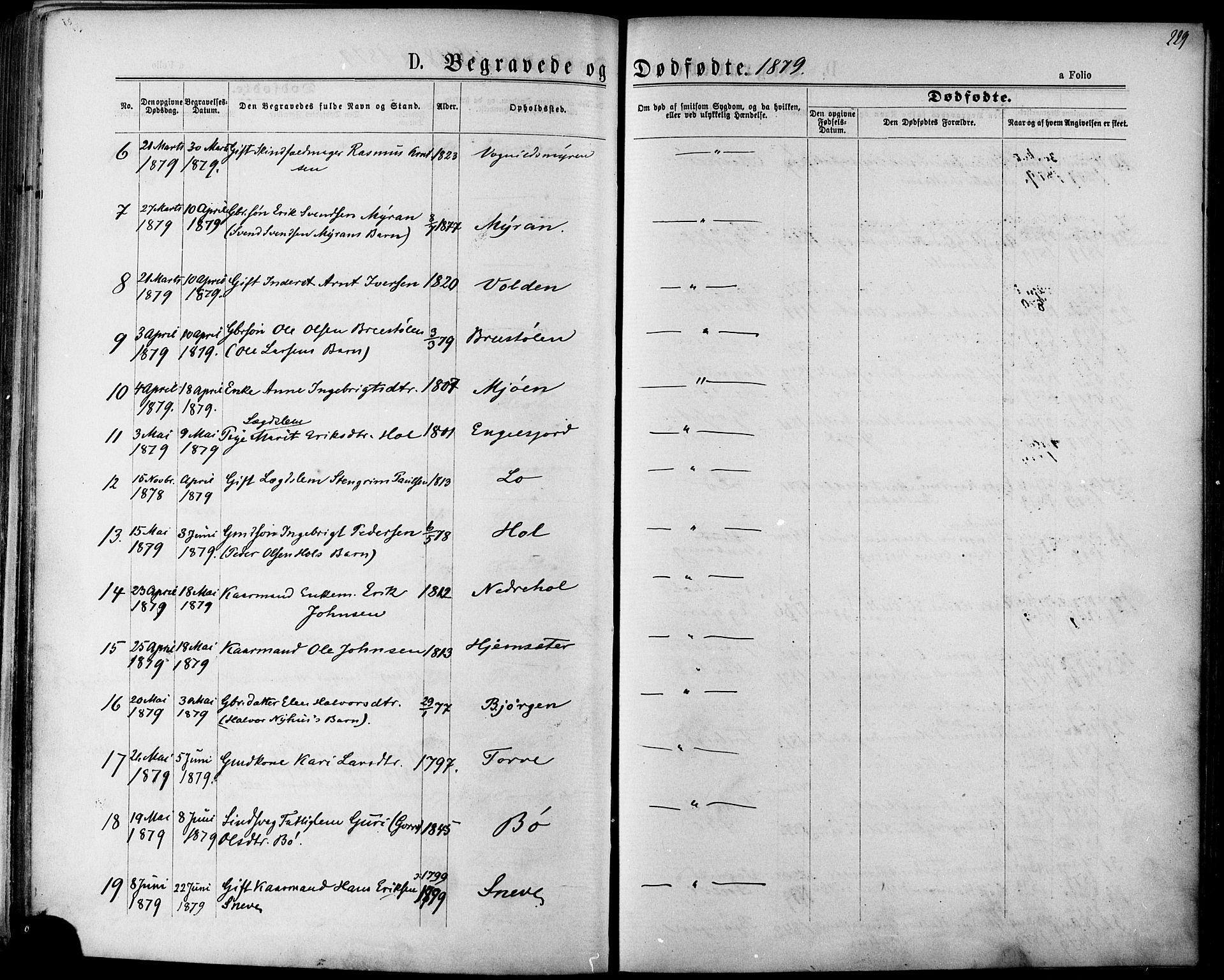 Ministerialprotokoller, klokkerbøker og fødselsregistre - Sør-Trøndelag, AV/SAT-A-1456/678/L0900: Parish register (official) no. 678A09, 1872-1881, p. 229