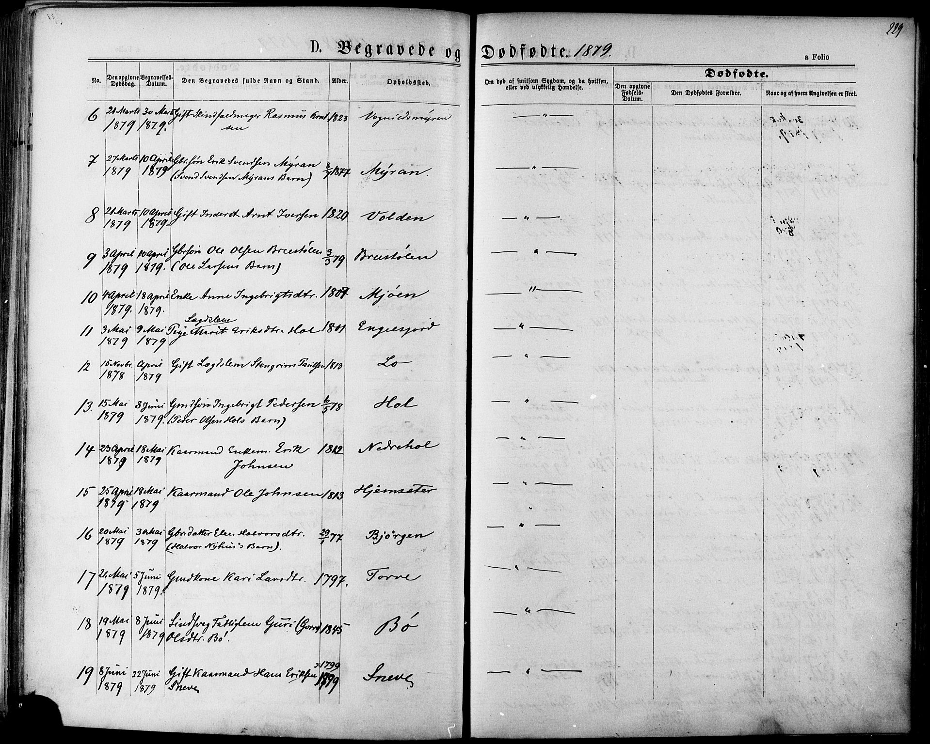 Ministerialprotokoller, klokkerbøker og fødselsregistre - Sør-Trøndelag, AV/SAT-A-1456/678/L0900: Parish register (official) no. 678A09, 1872-1881, p. 229