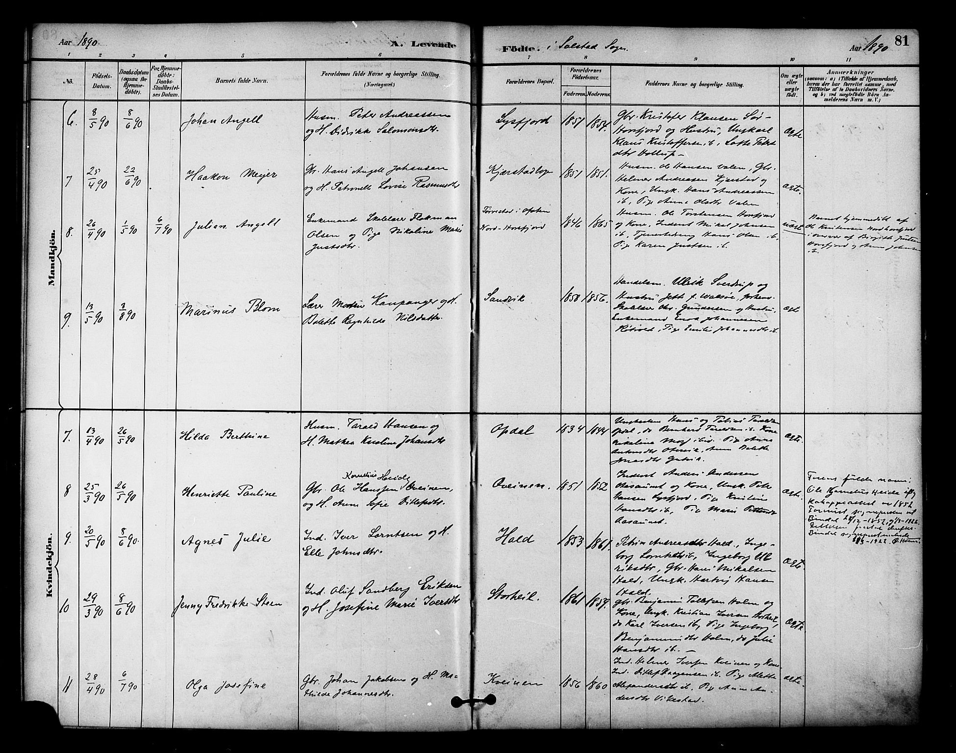 Ministerialprotokoller, klokkerbøker og fødselsregistre - Nordland, AV/SAT-A-1459/810/L0151: Parish register (official) no. 810A10 /2, 1885-1895, p. 81