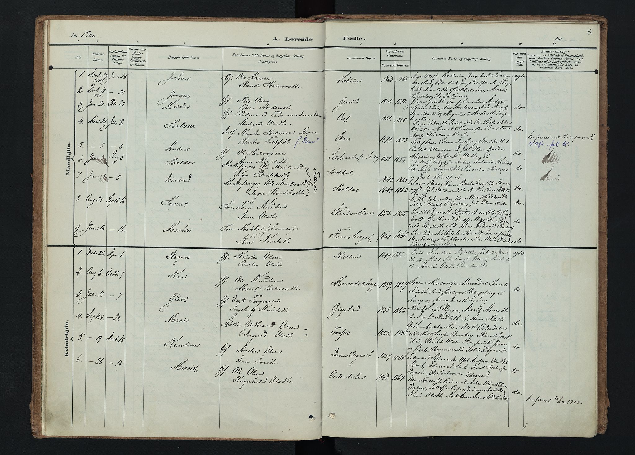 Nord-Aurdal prestekontor, SAH/PREST-132/H/Ha/Haa/L0015: Parish register (official) no. 15, 1896-1914, p. 8