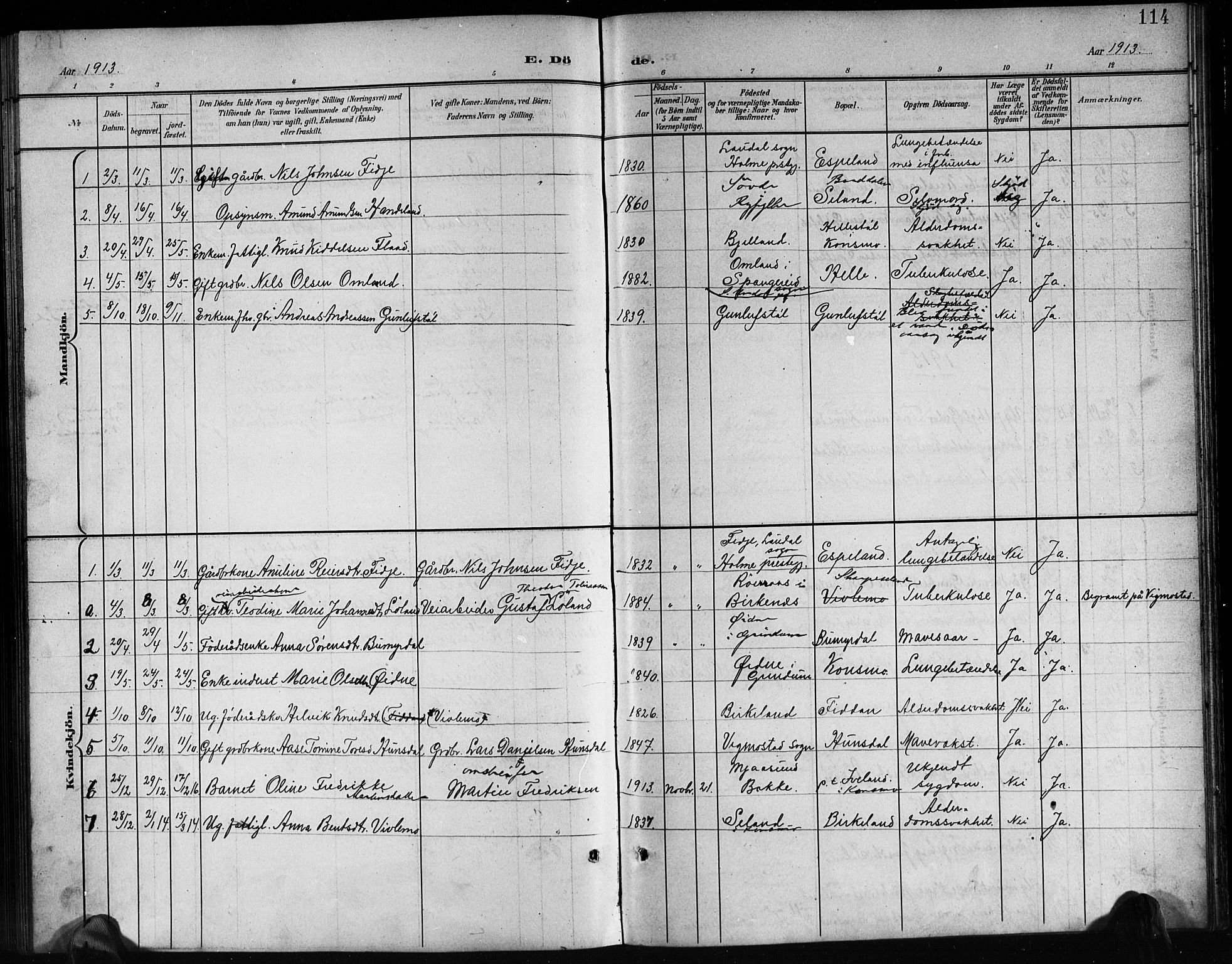 Nord-Audnedal sokneprestkontor, AV/SAK-1111-0032/F/Fb/Fba/L0004: Parish register (copy) no. B 4, 1901-1917, p. 114