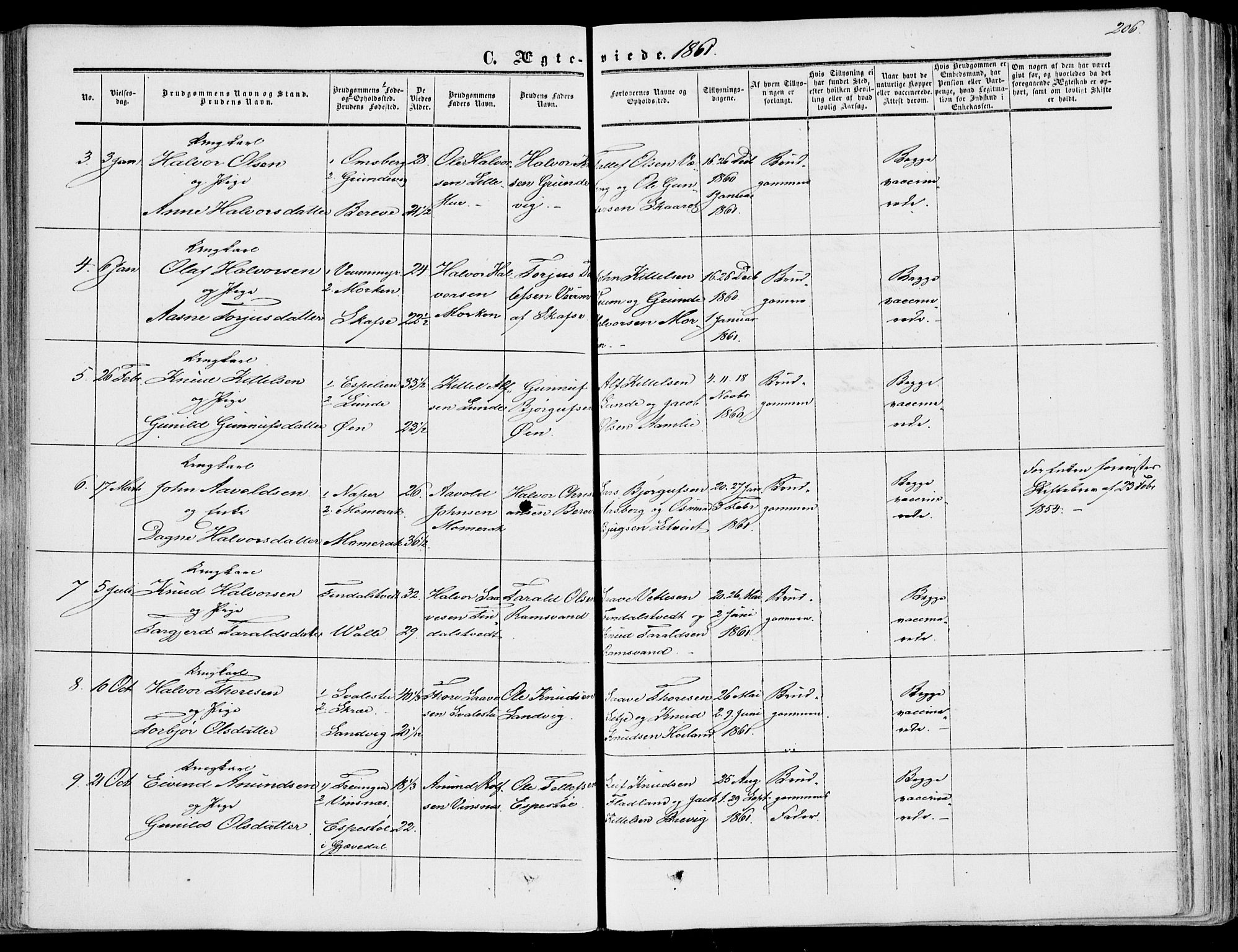 Fyresdal kirkebøker, SAKO/A-263/F/Fa/L0005: Parish register (official) no. I 5, 1855-1871, p. 206