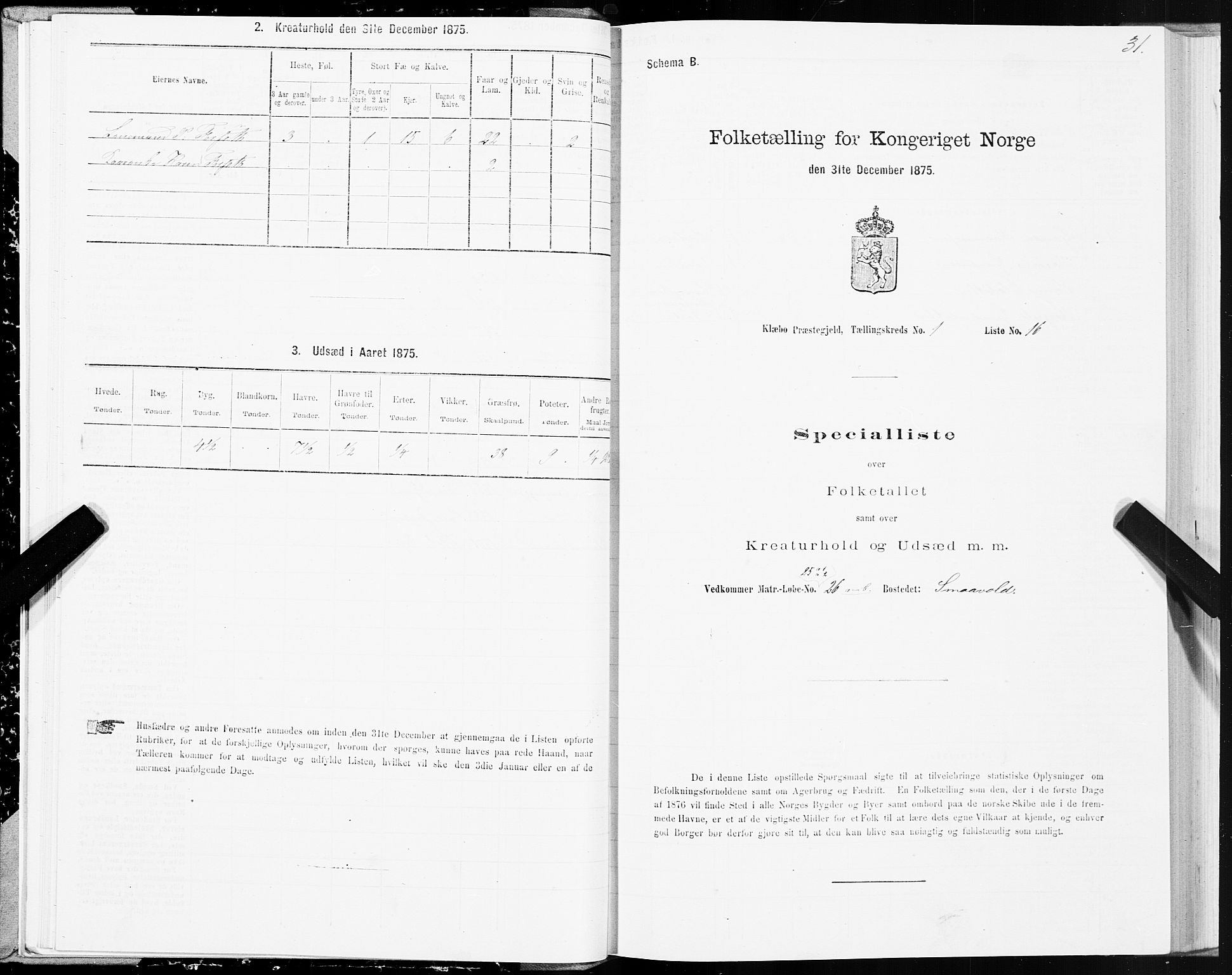 SAT, 1875 census for 1662P Klæbu, 1875, p. 1031