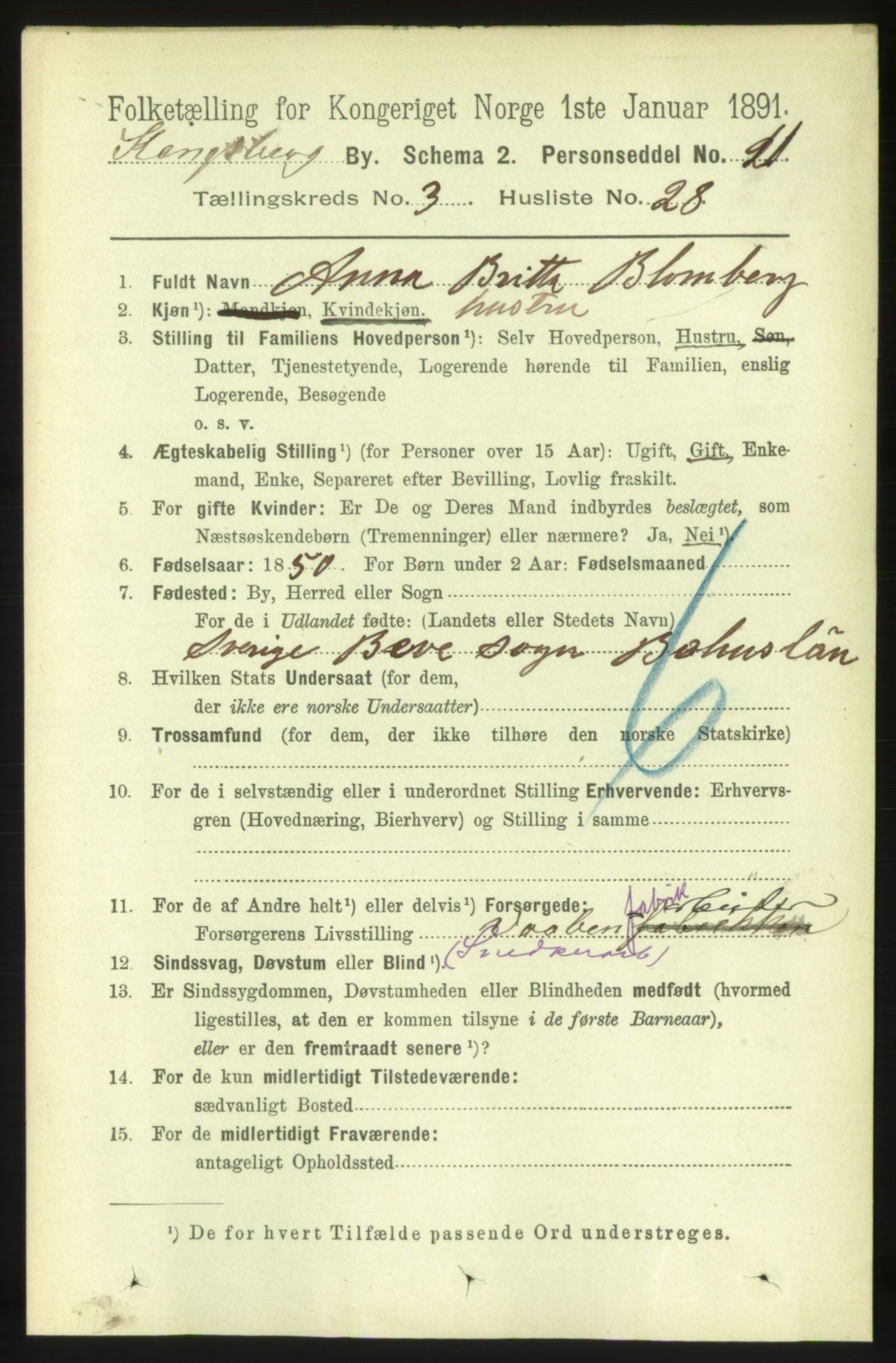 RA, 1891 census for 0604 Kongsberg, 1891, p. 3017