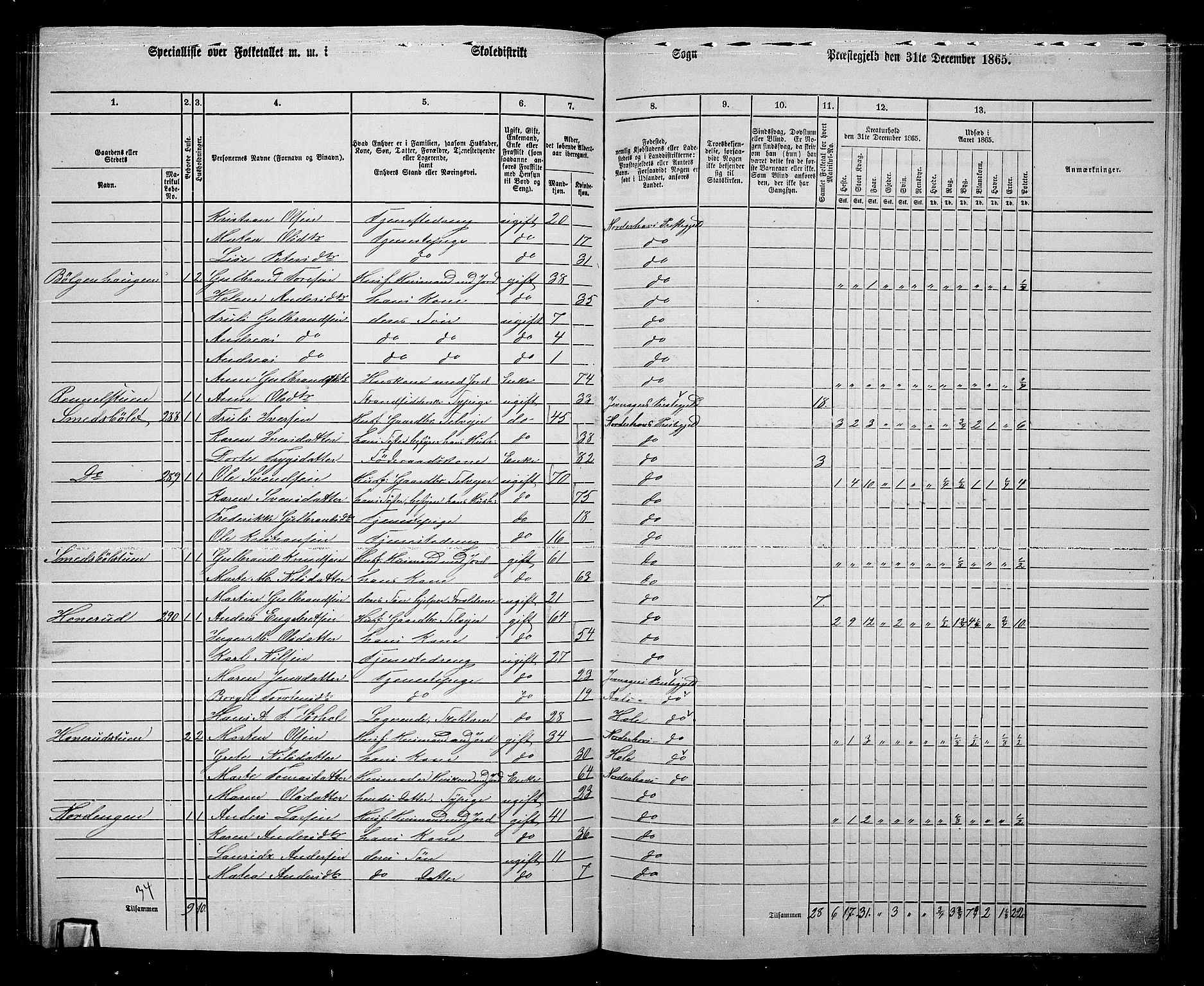 RA, 1865 census for Norderhov/Norderhov, Haug og Lunder, 1865, p. 250